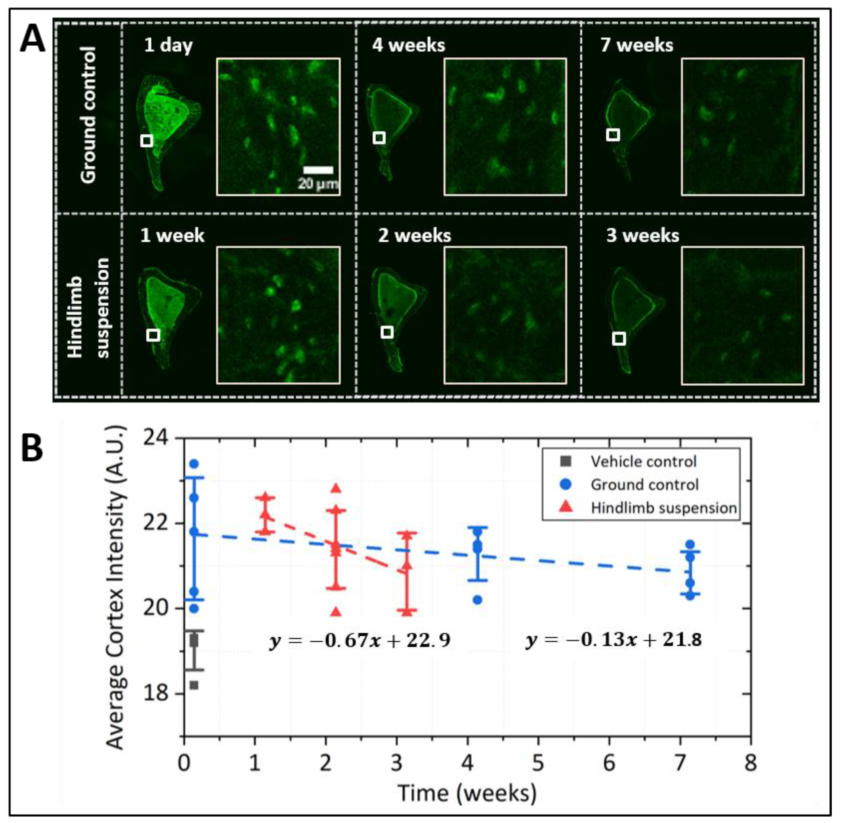 Genes 13 00072 g005