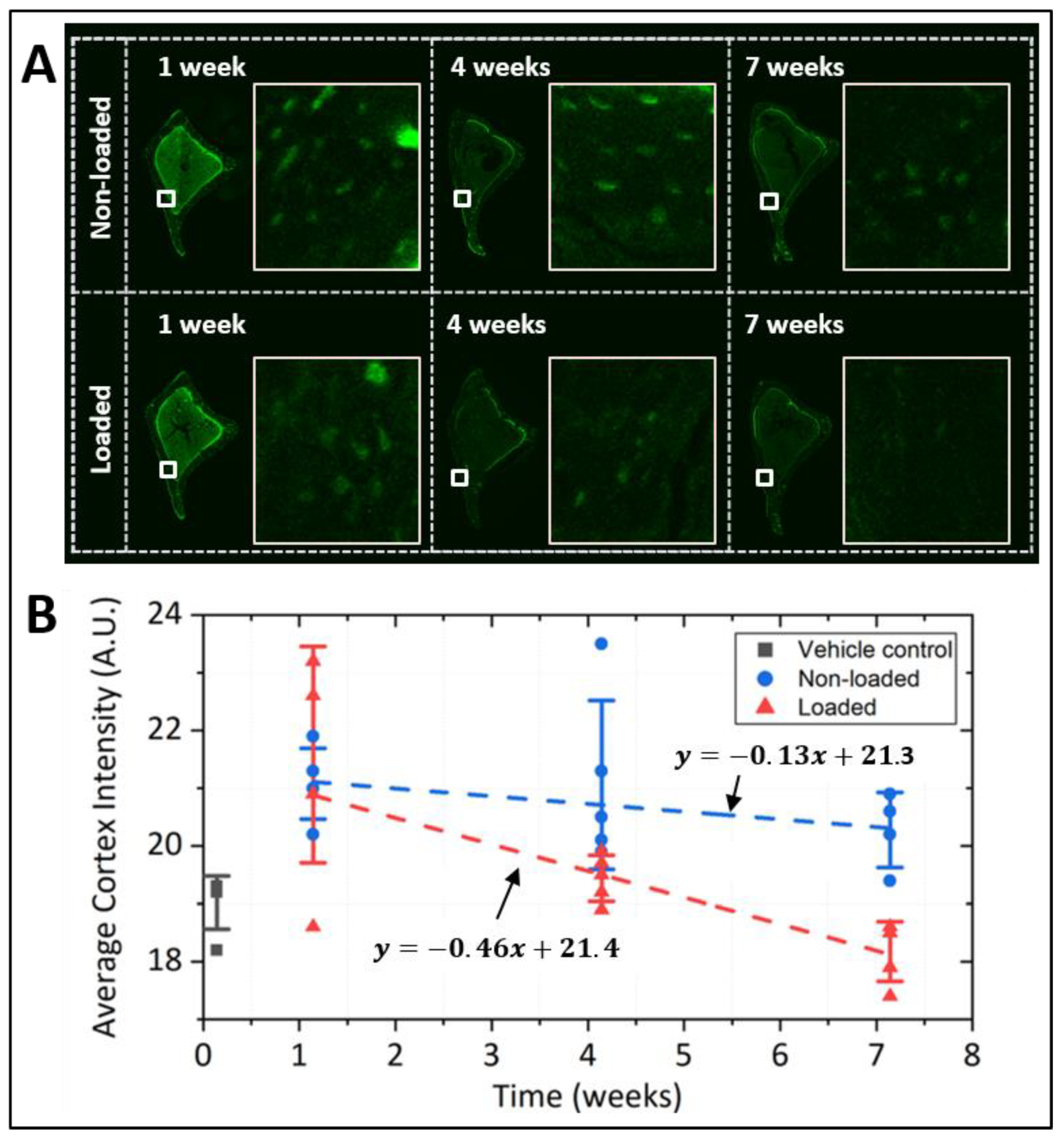 Genes 13 00072 g006