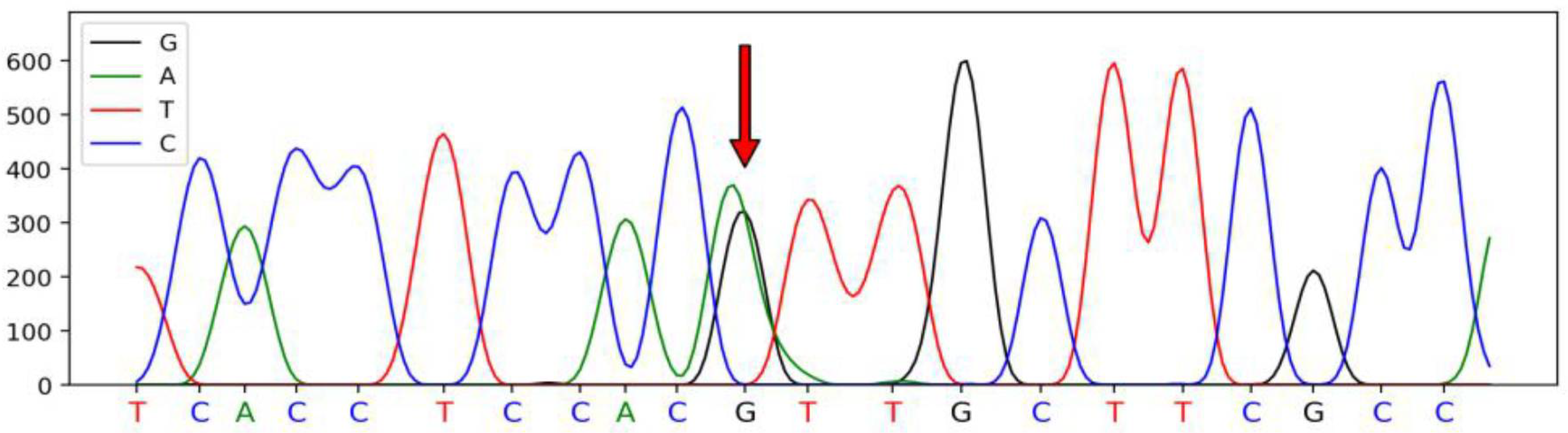 Genes 13 00077 g002 Genes 13 00077 g002