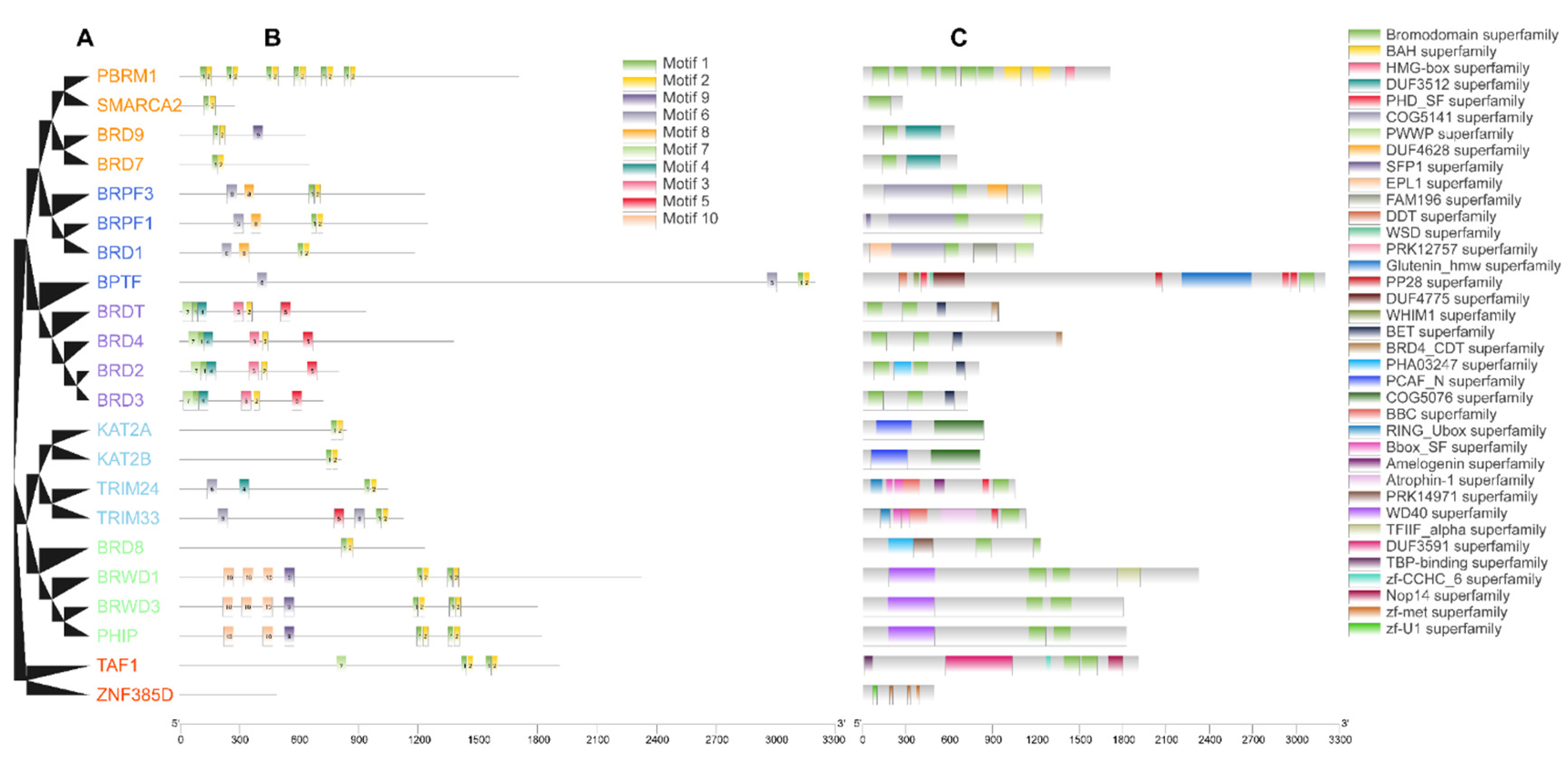 Genes 13 00103 g002 Genes 13 00103 g002