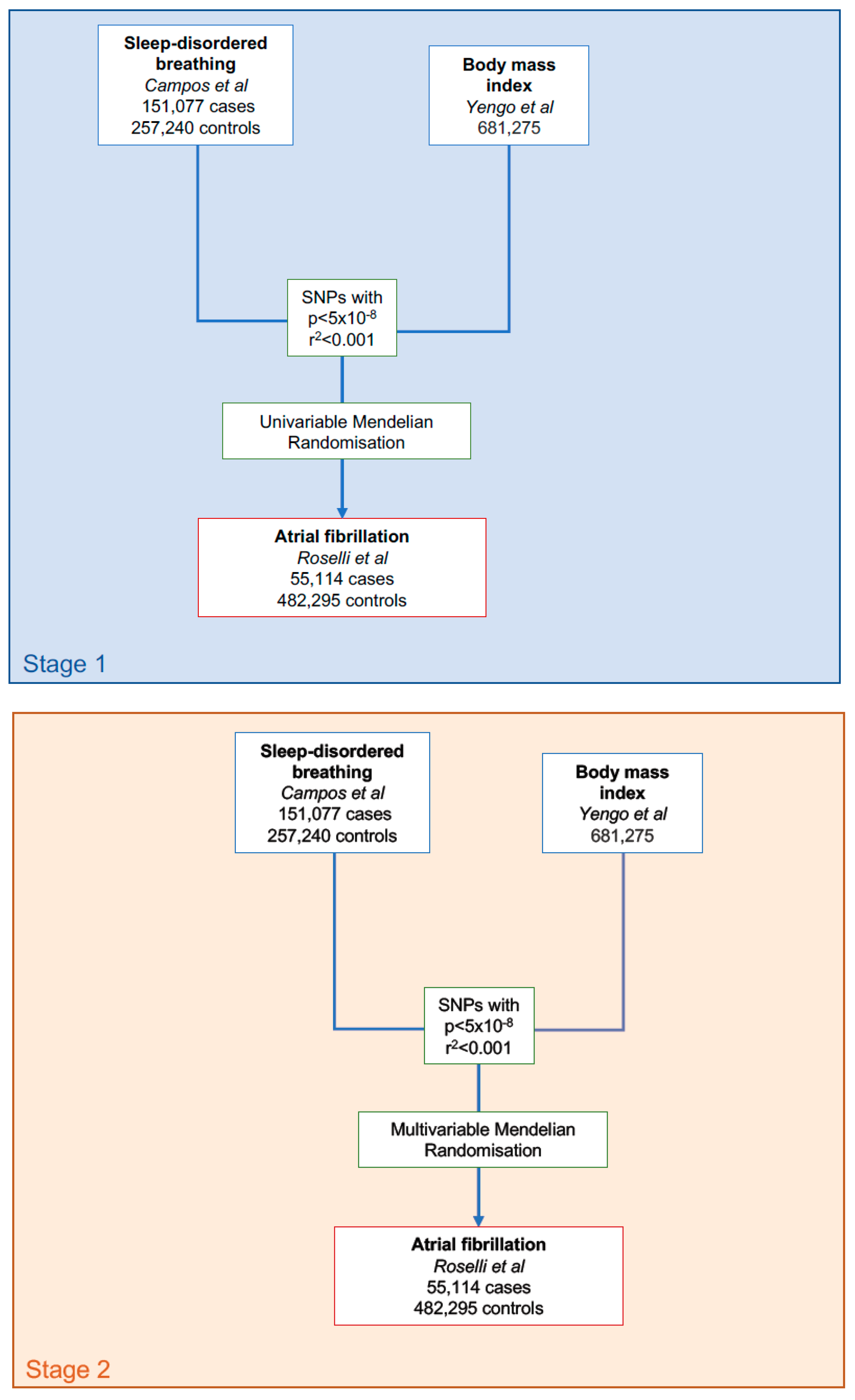 Genes Free Full Text Sleep Disordered Breathing Obesity And Atrial