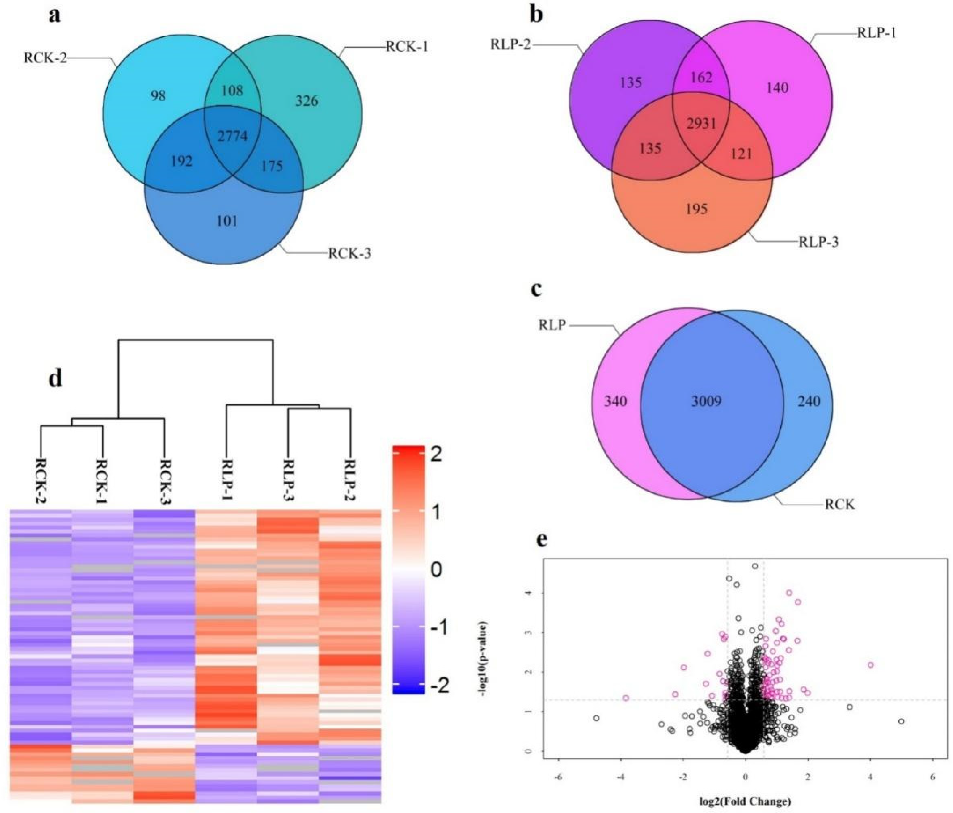 Genes | Free Full-Text | Identification of Phosphorus Stress