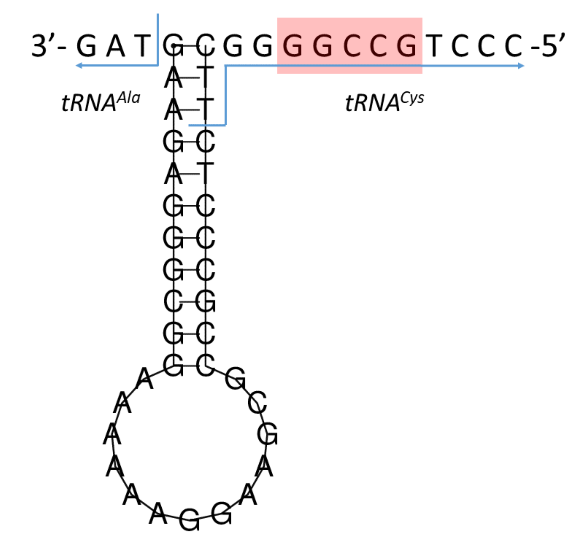 Genes 13 00125 g006 Genes 13 00125 g006
