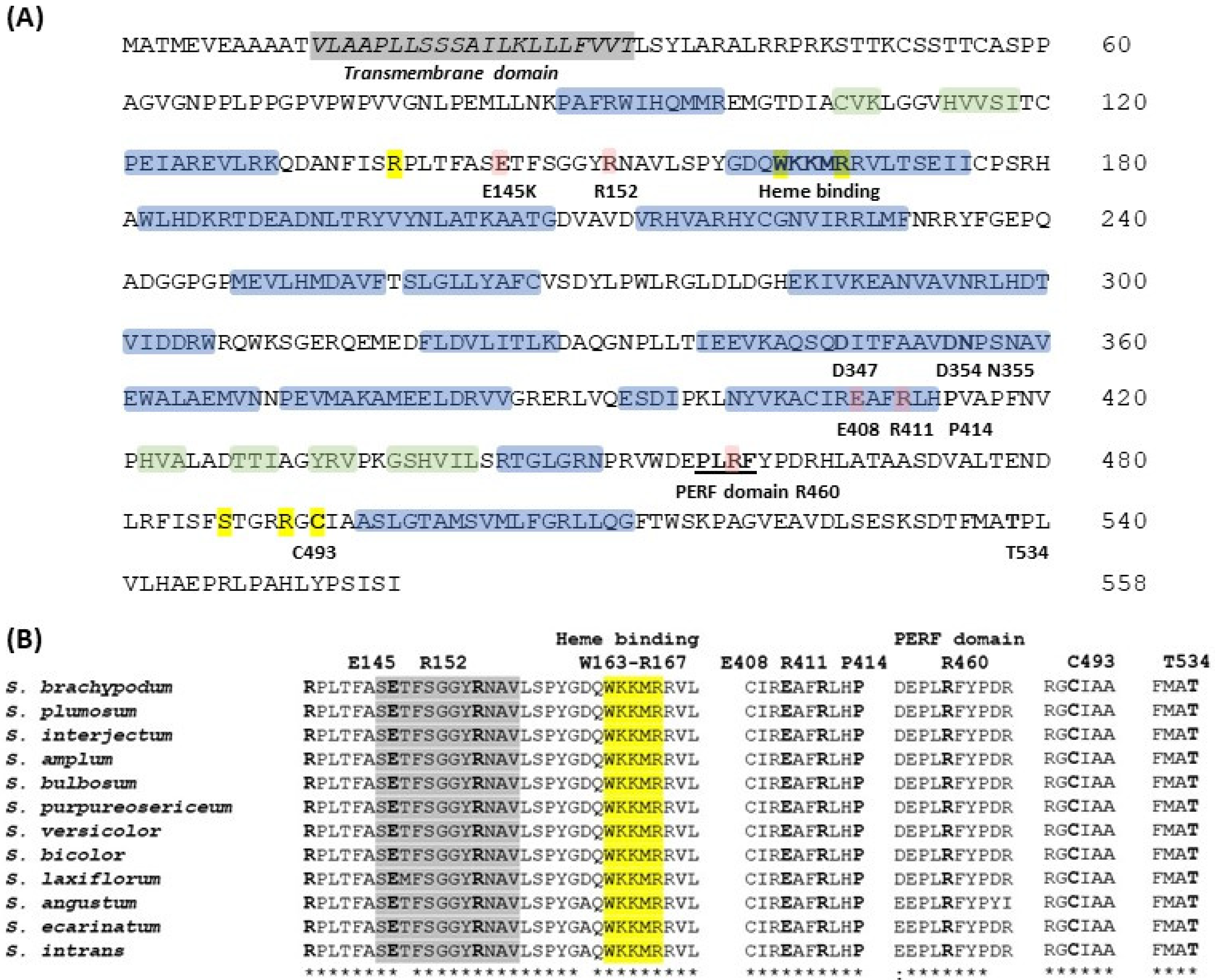 Genes 13 00140 g004 Genes 13 00140 g004