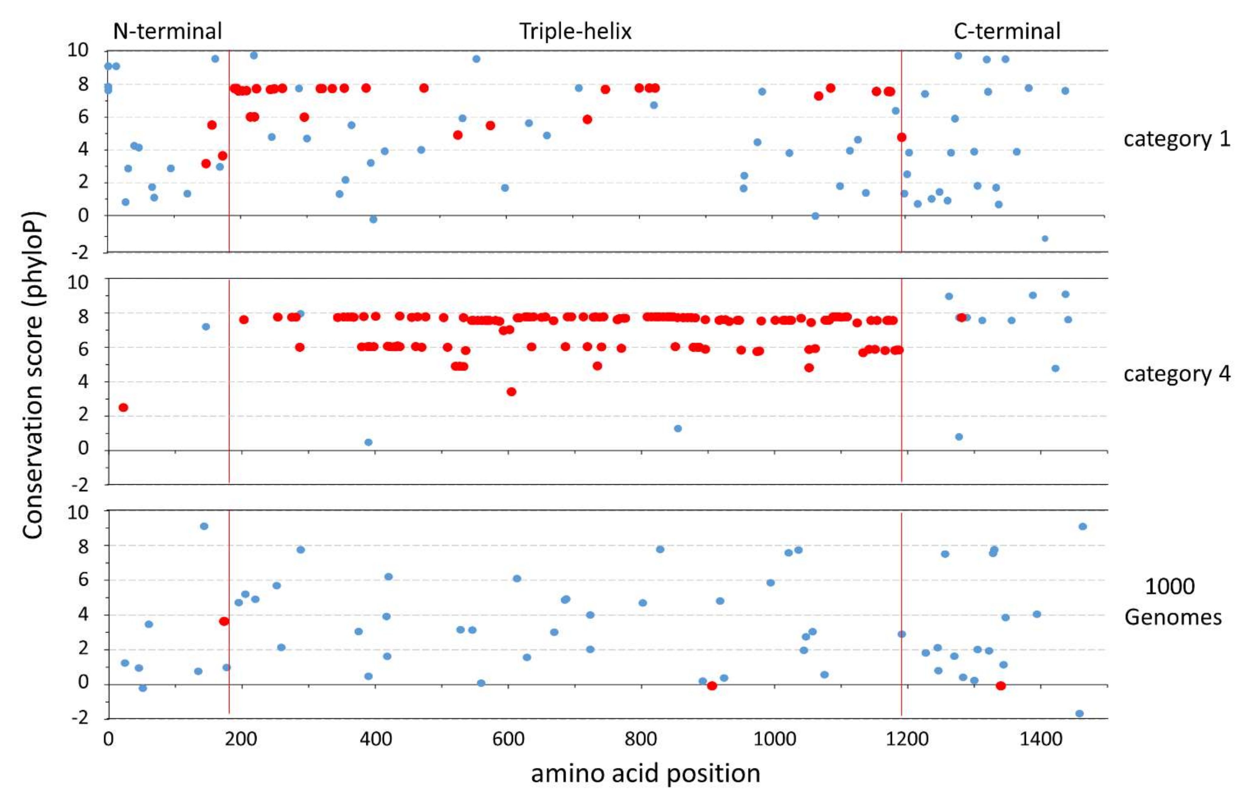 Signatures of natural selection and ethnic-specific prevalence of