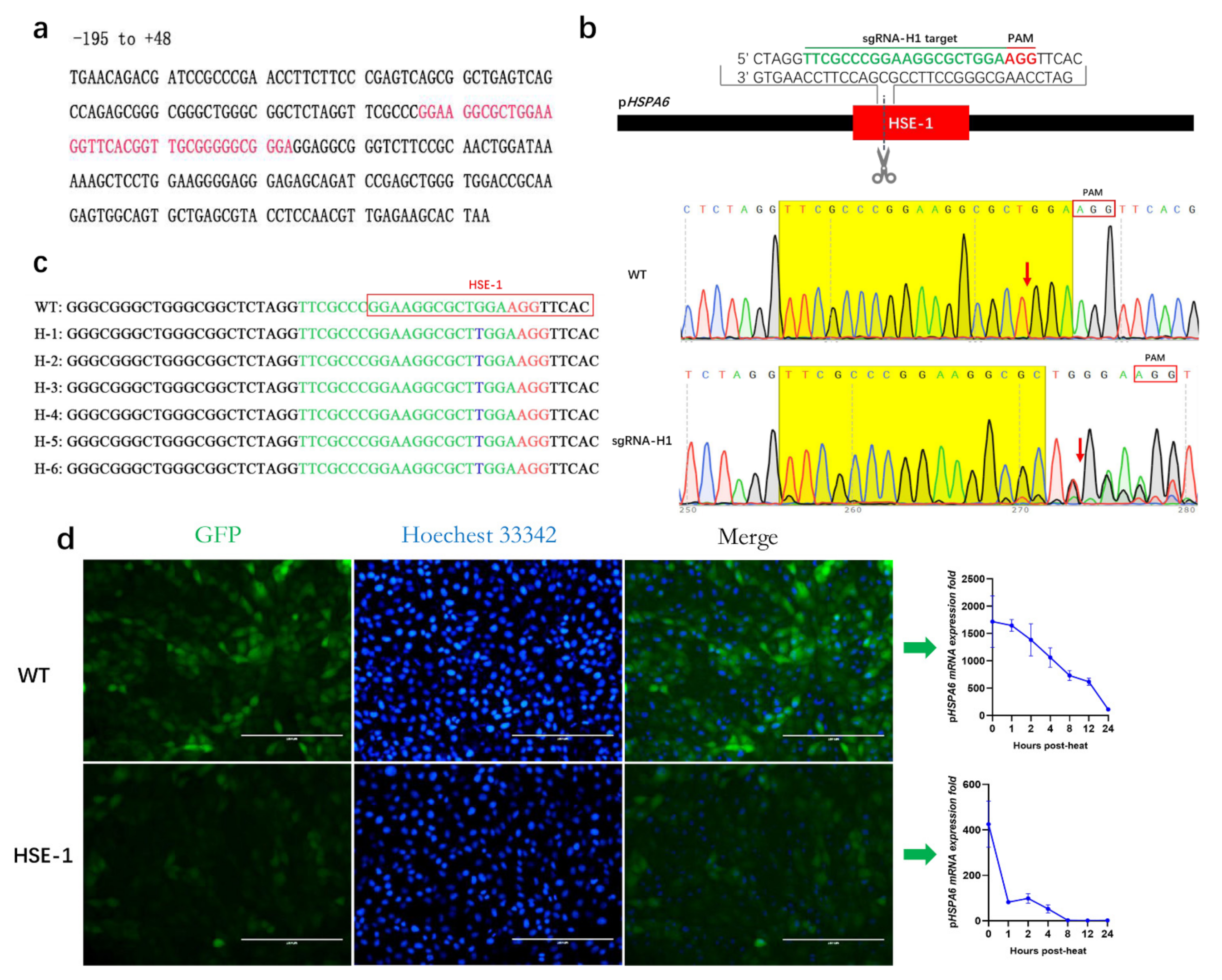 Genes 13 00189 g002