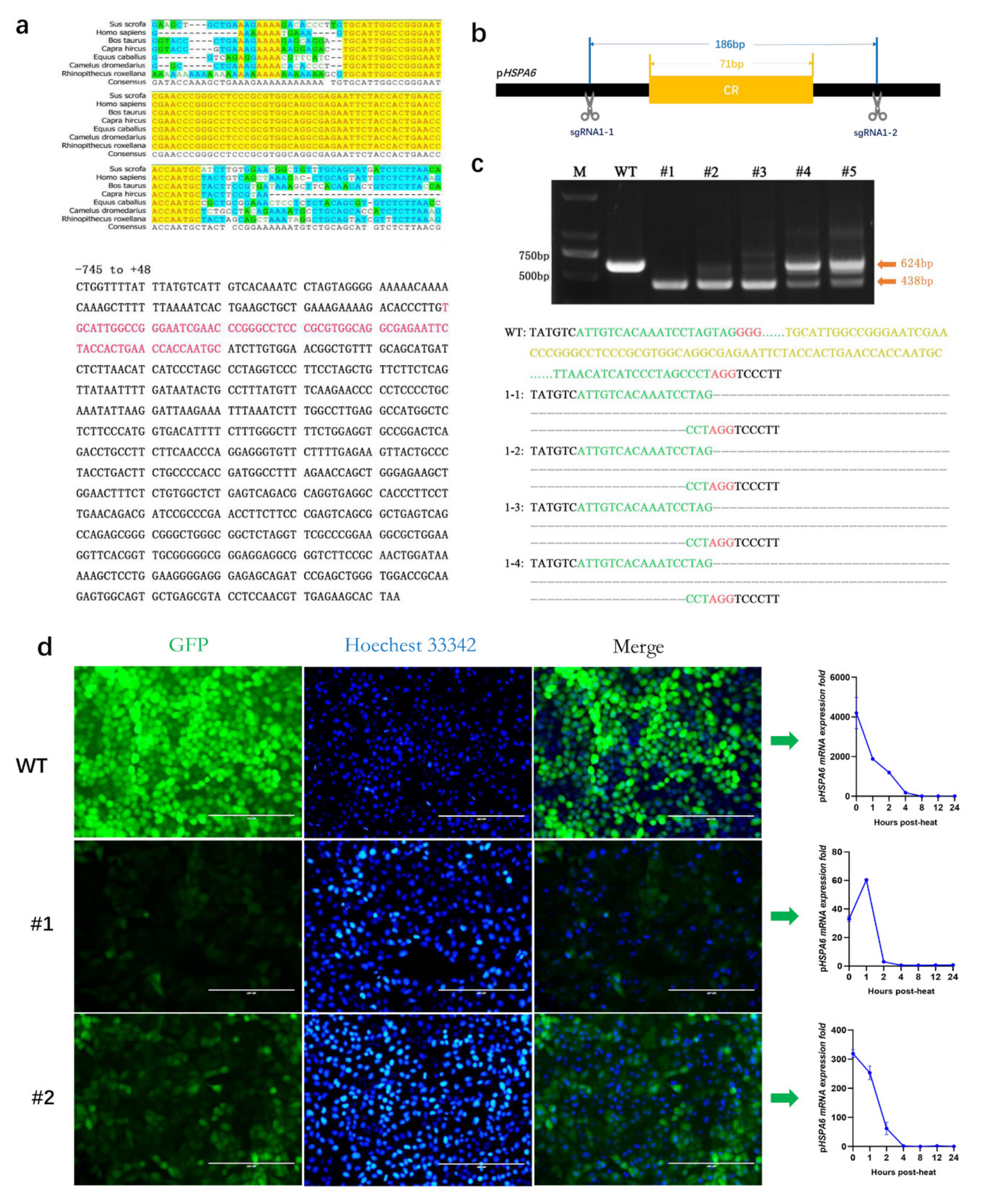 Genes 13 00189 g004