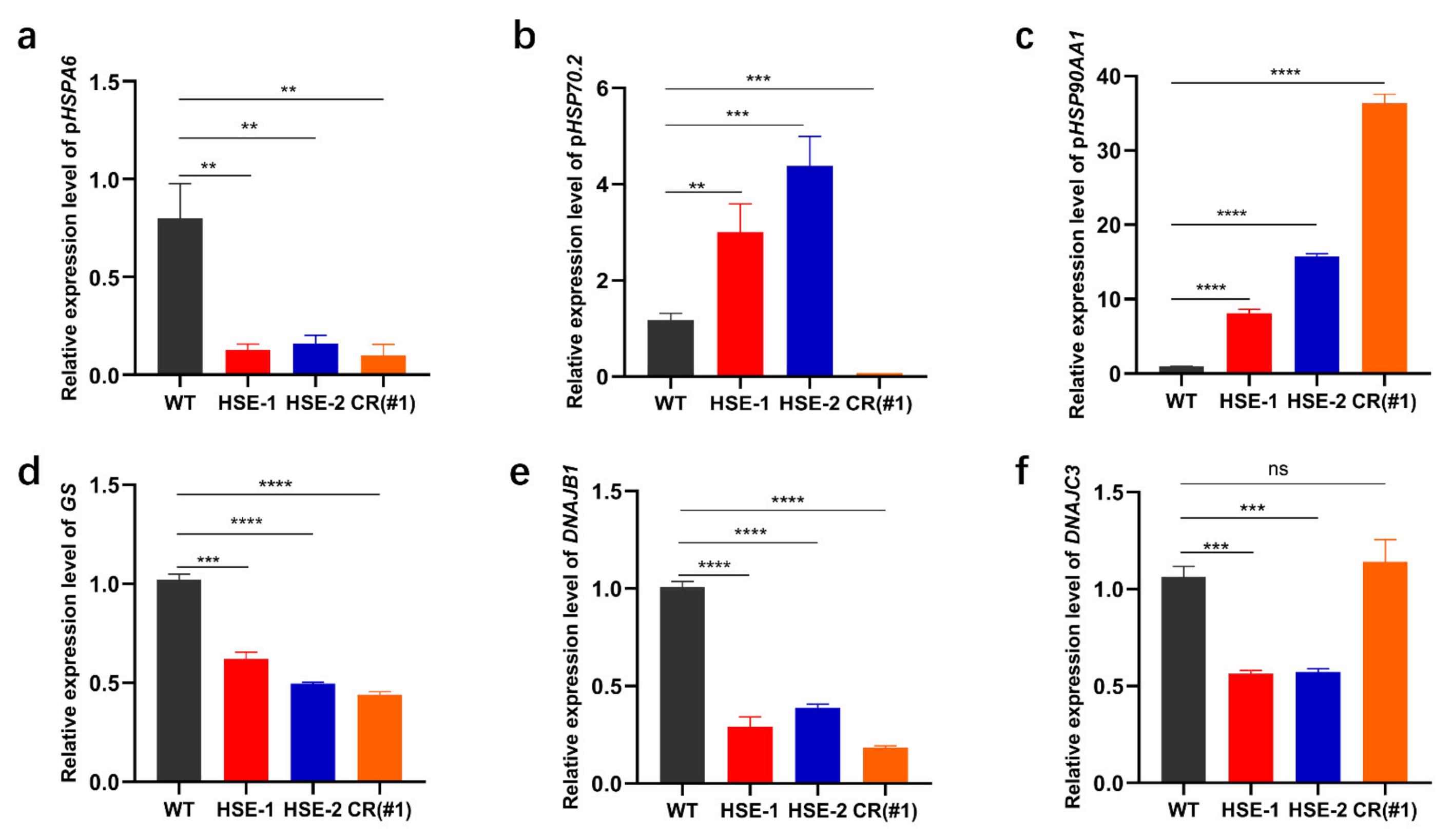 Genes 13 00189 g005