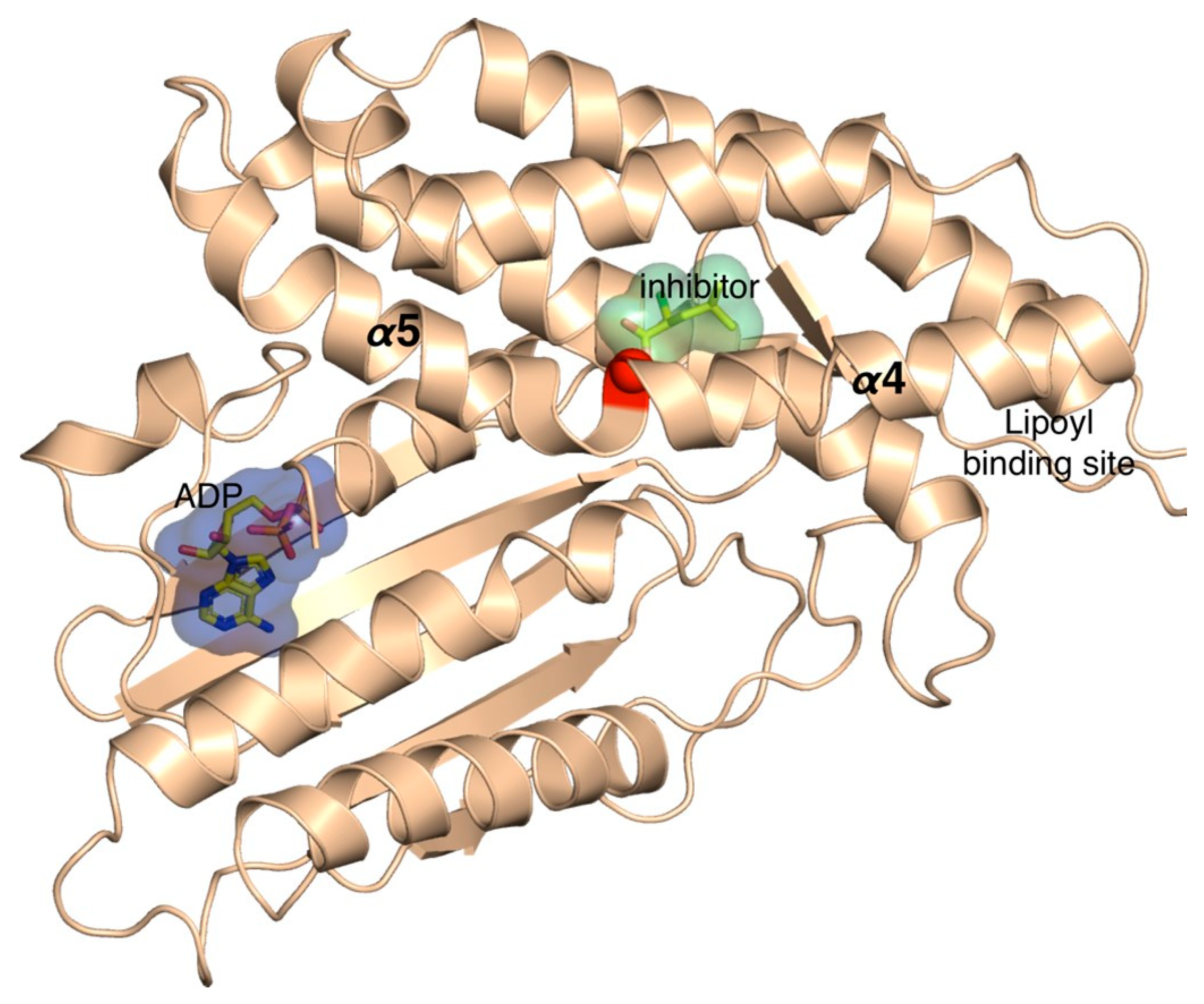 Genes 13 00233 g001 Genes 13 00233 g001
