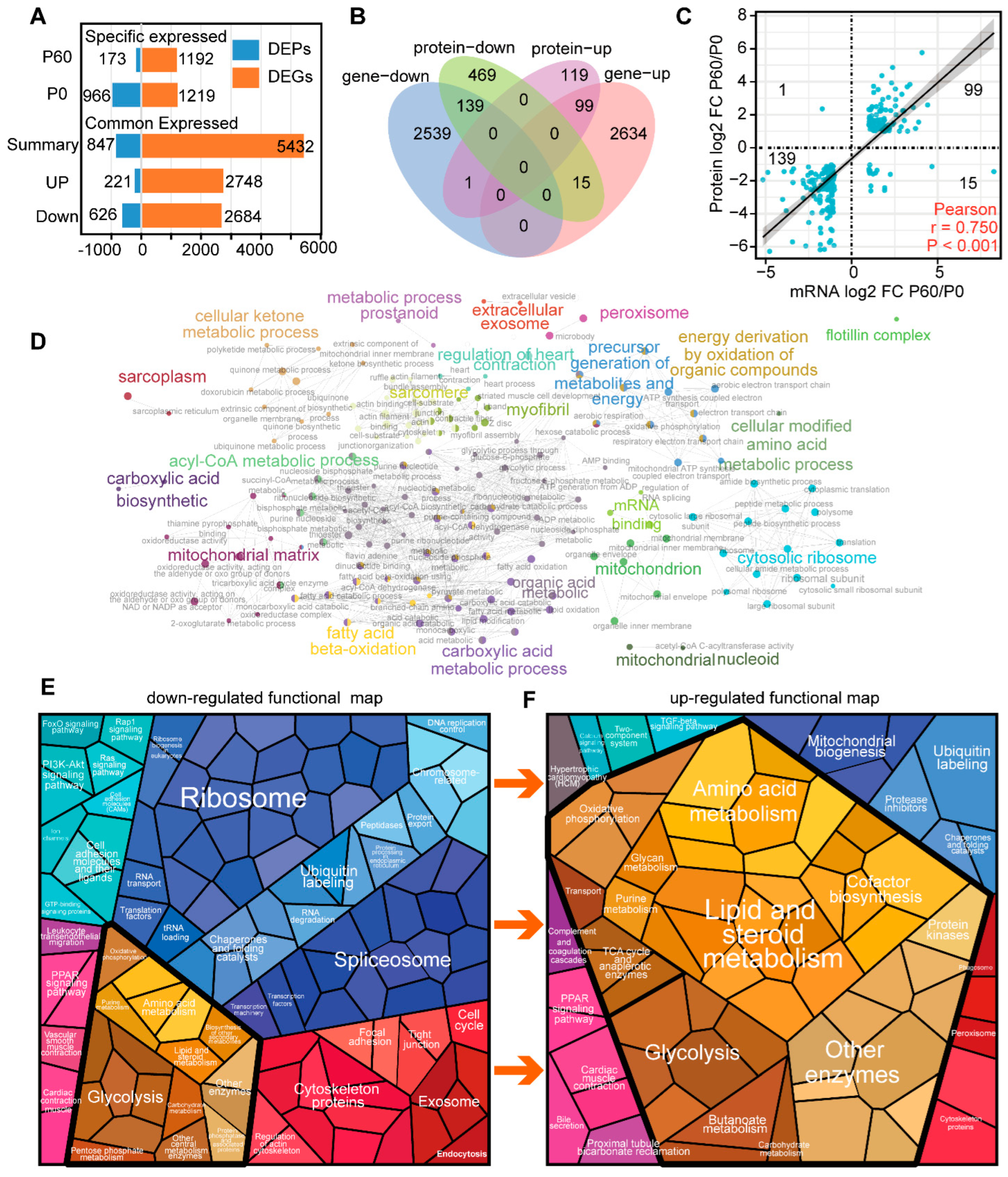 Genes 13 00250 g003