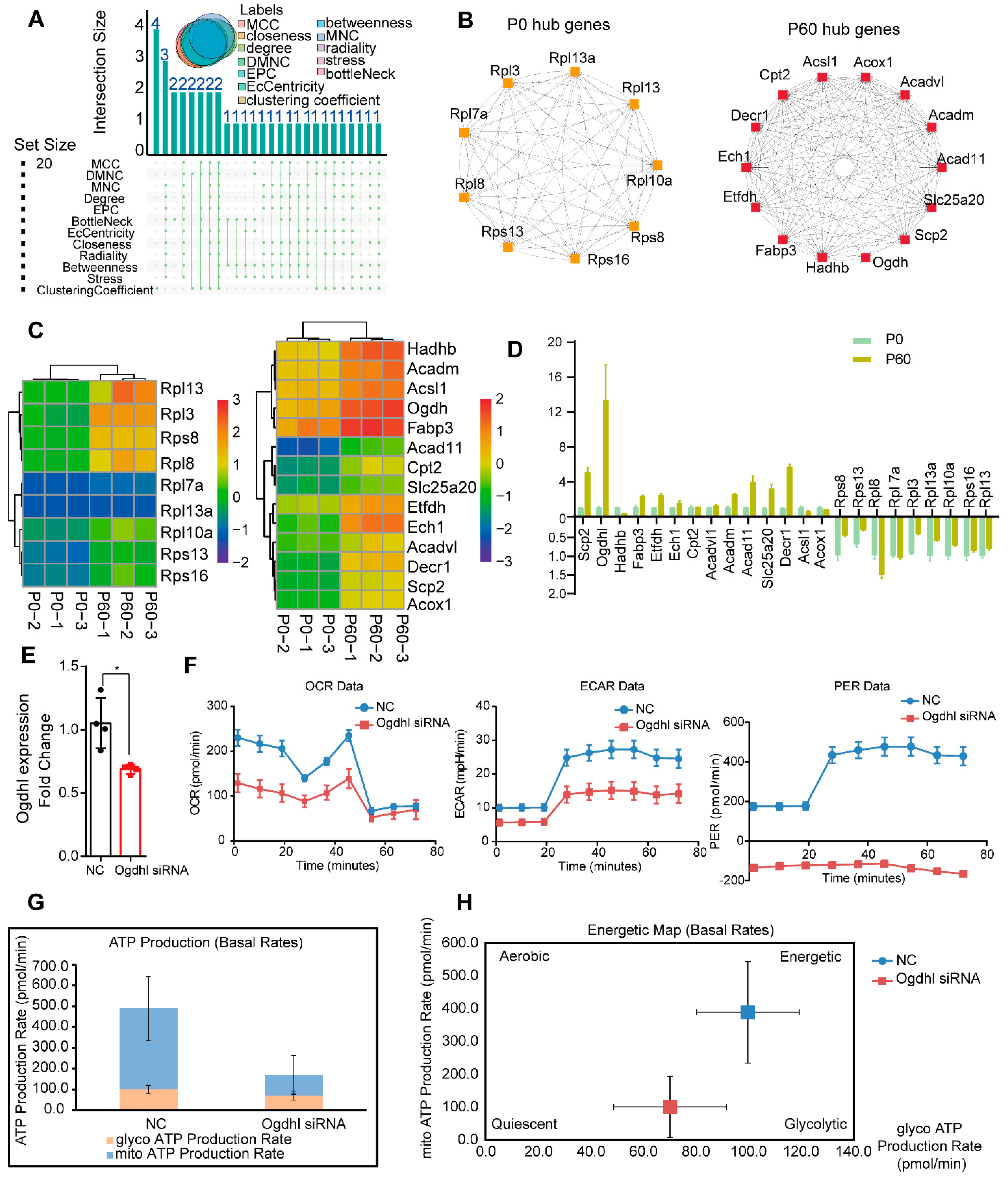 Genes 13 00250 g005