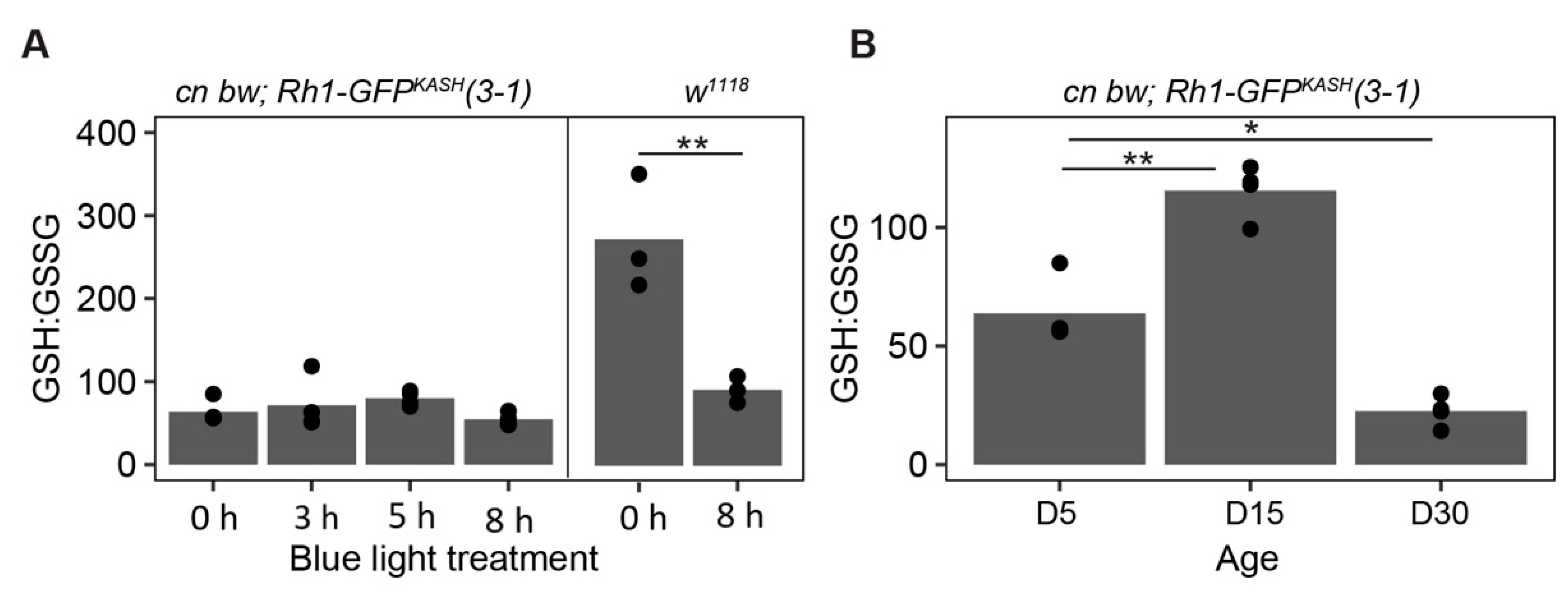 Genes 13 00264 g007 Genes 13 00264 g007