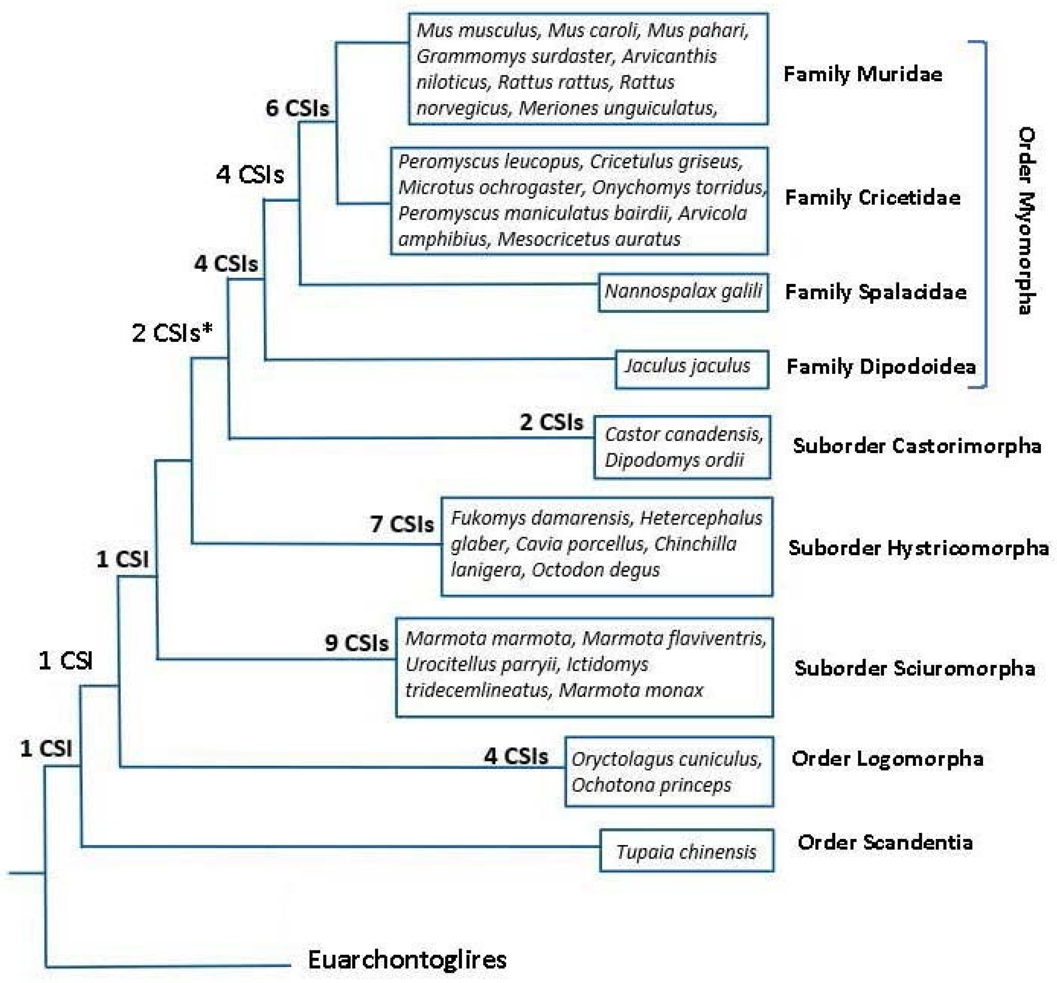 Genes 13 00288 g008