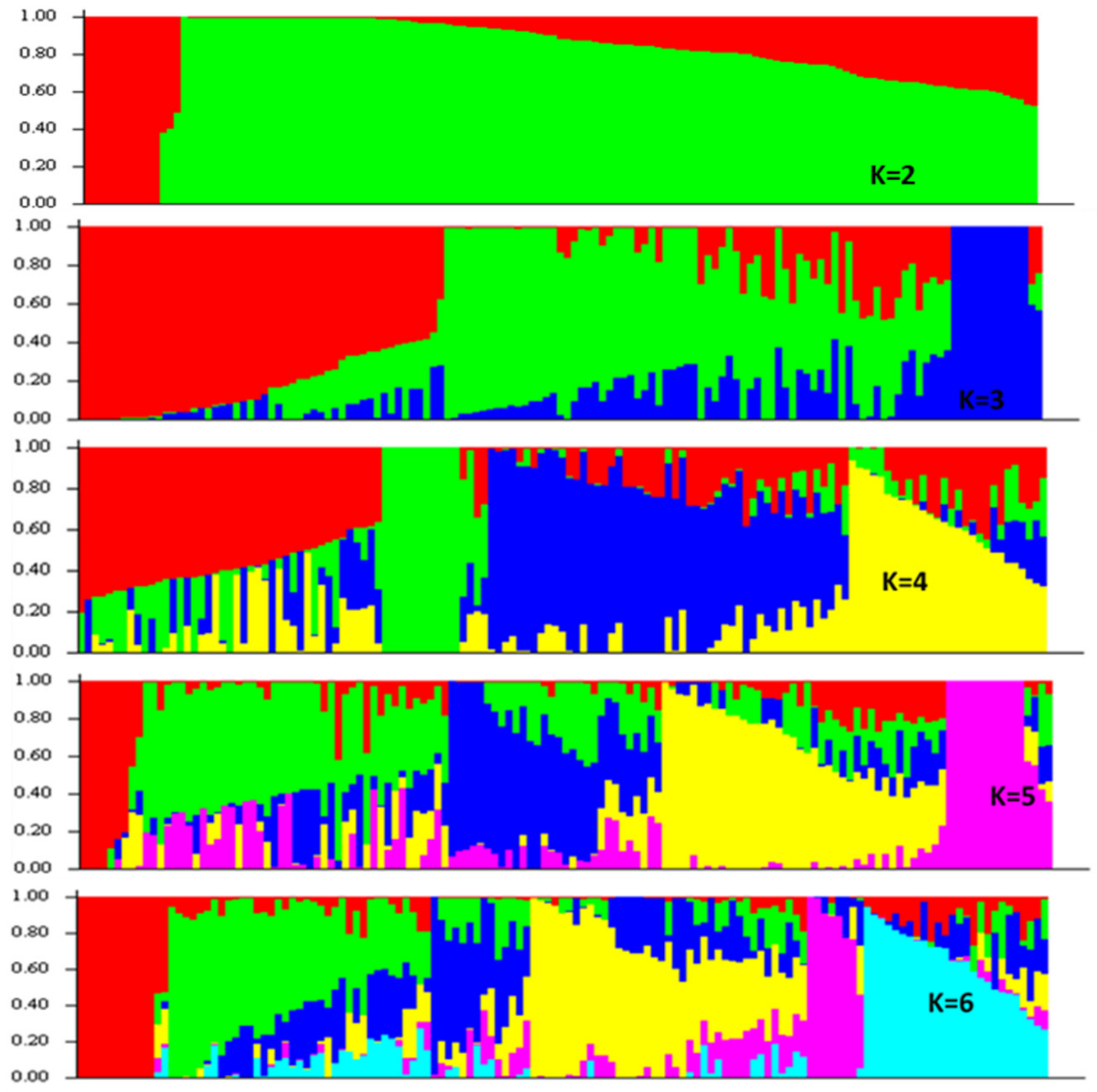 Genes 13 00296 g004