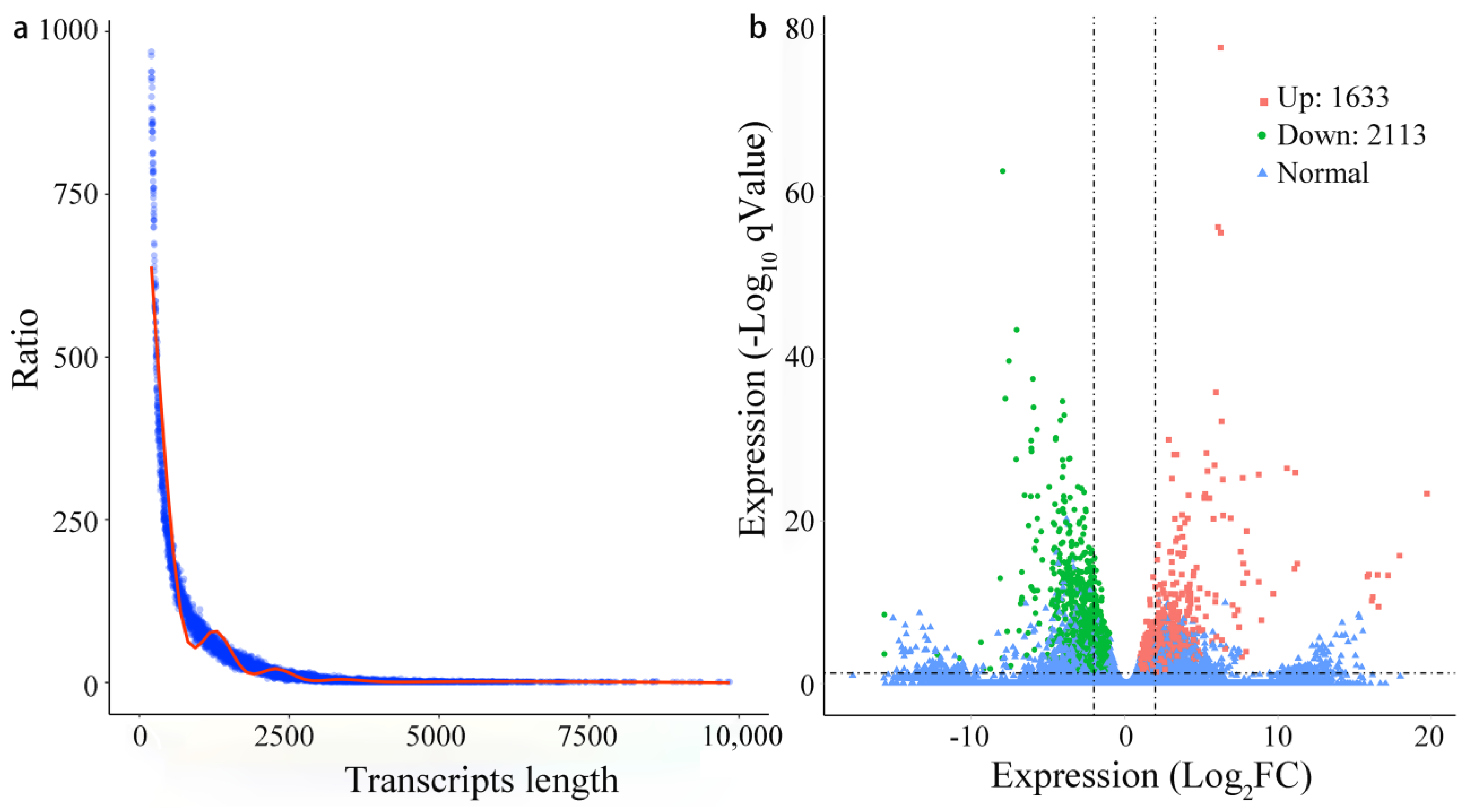 Genes 13 00331 g001