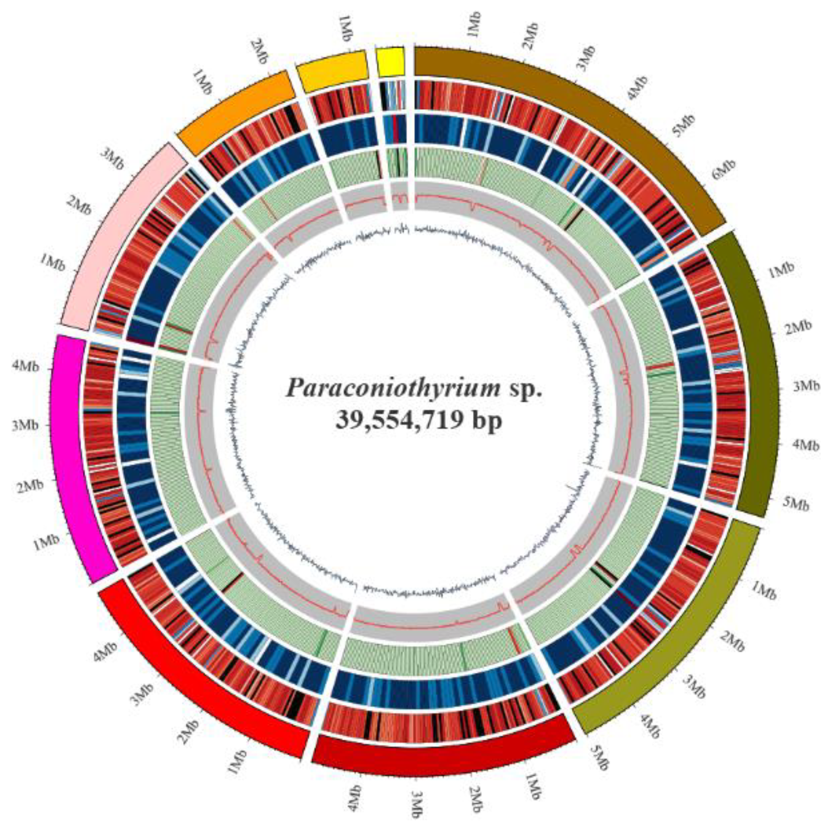 Genes 13 00338 g002 Genes 13 00338 g002