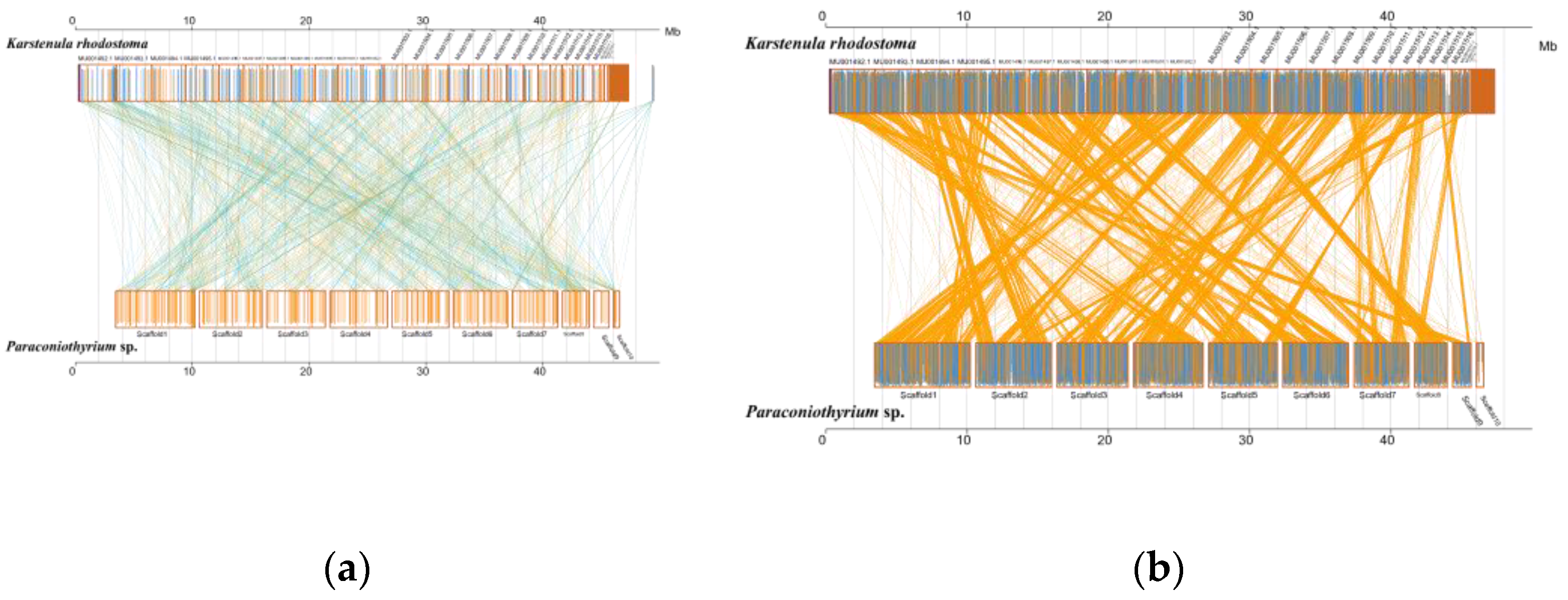Genes 13 00338 g005 Genes 13 00338 g005