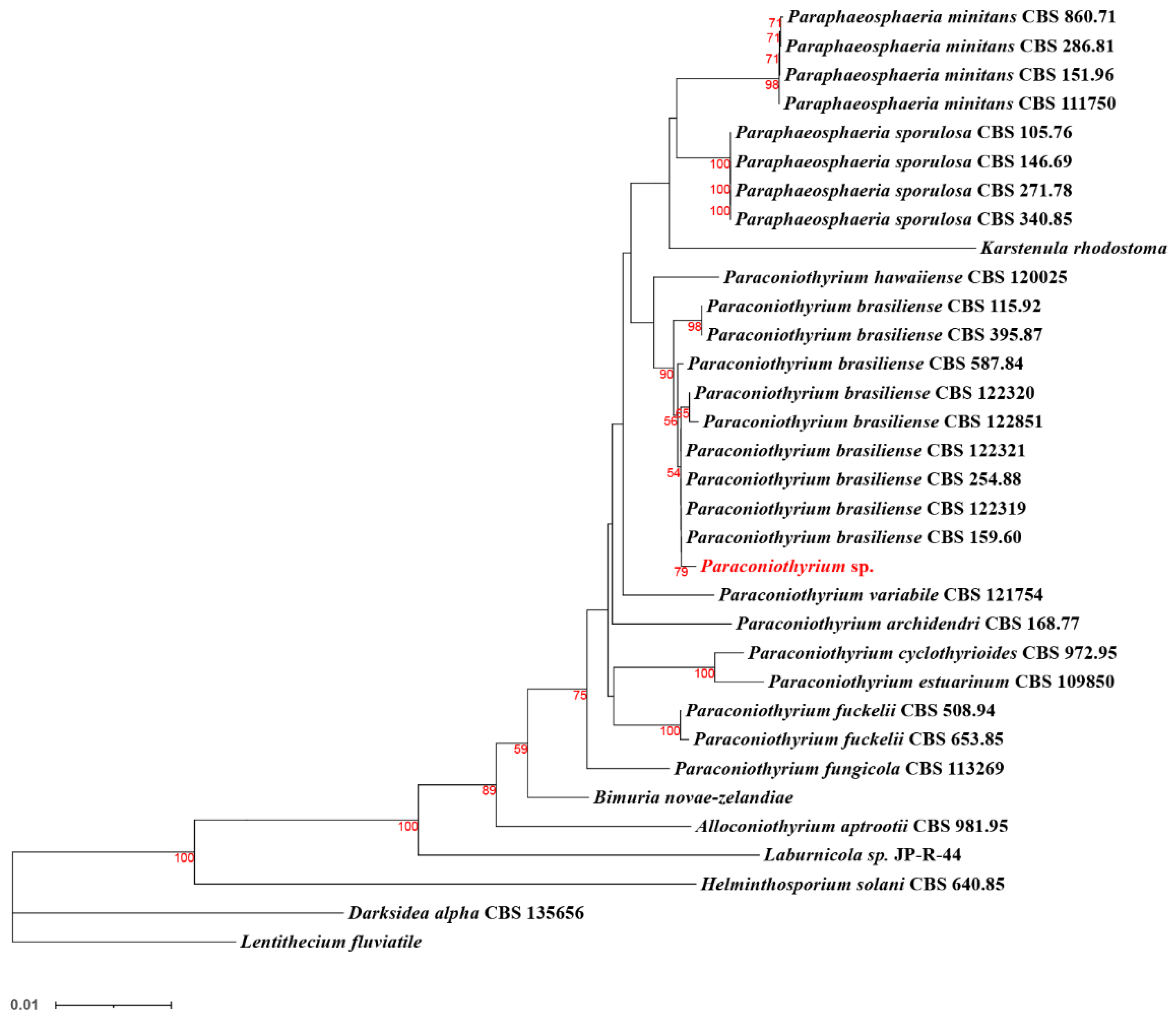Genes 13 00338 g008 Genes 13 00338 g008