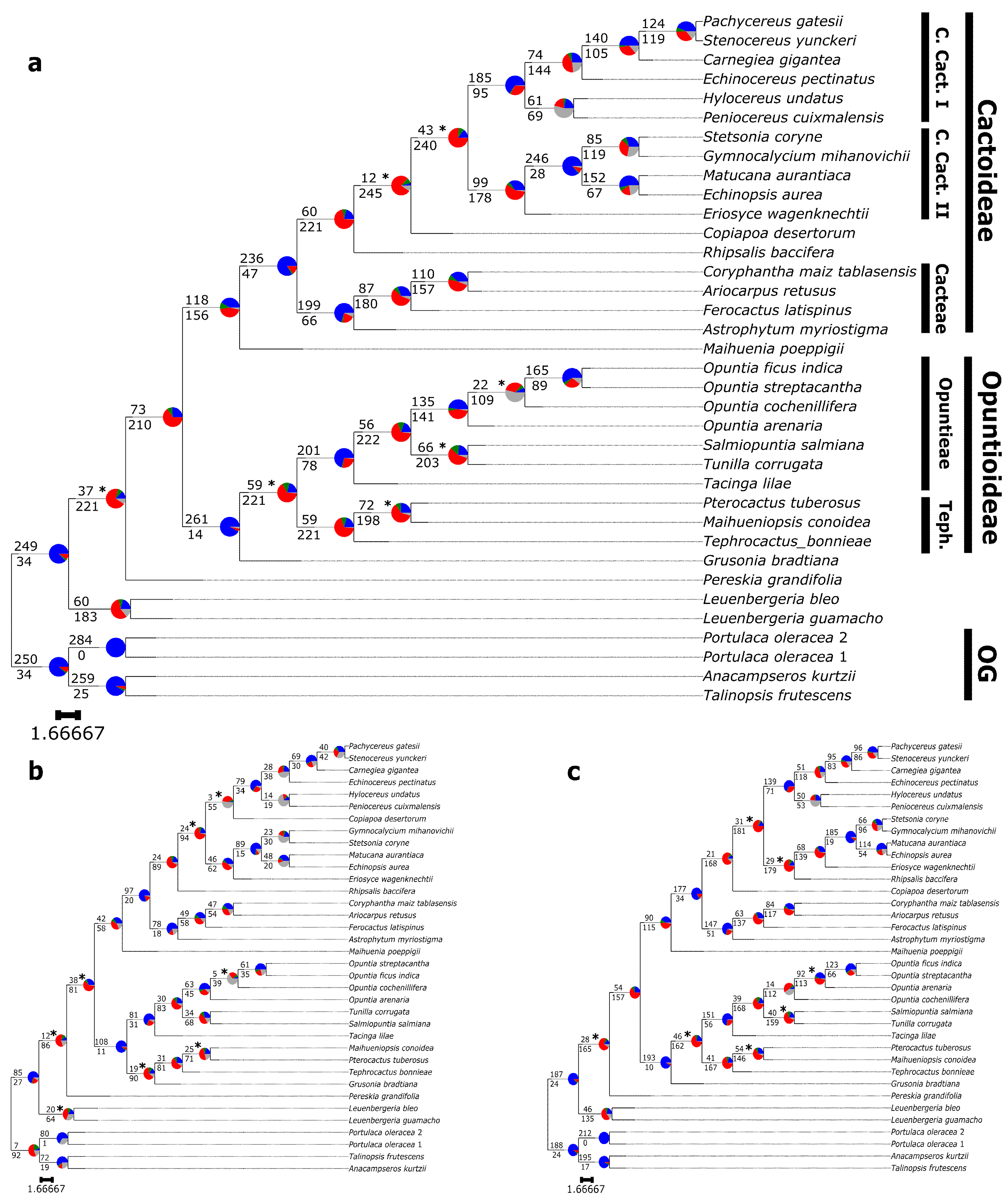 Genes 13 00350 g004