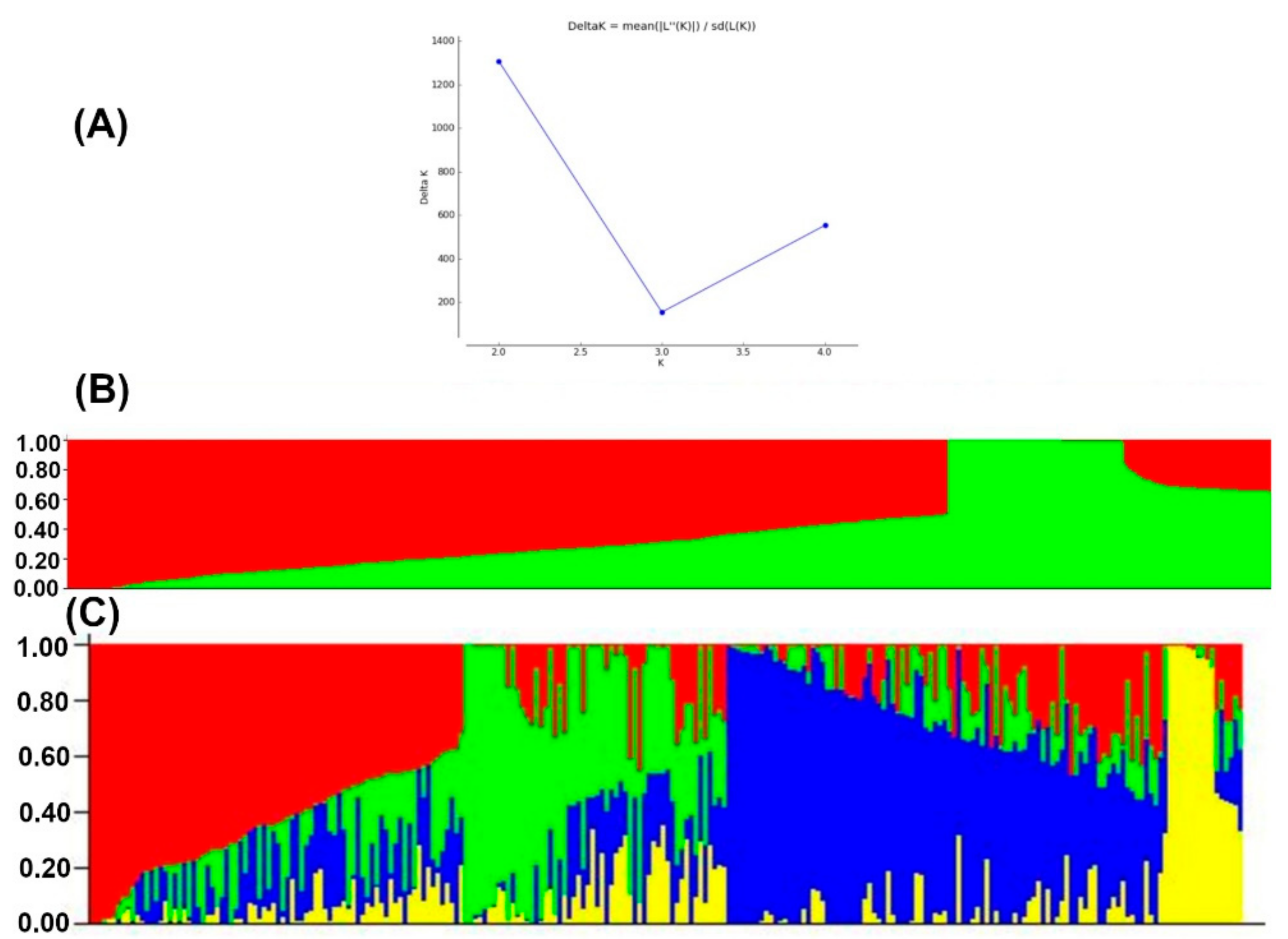 Genes 13 00351 g004