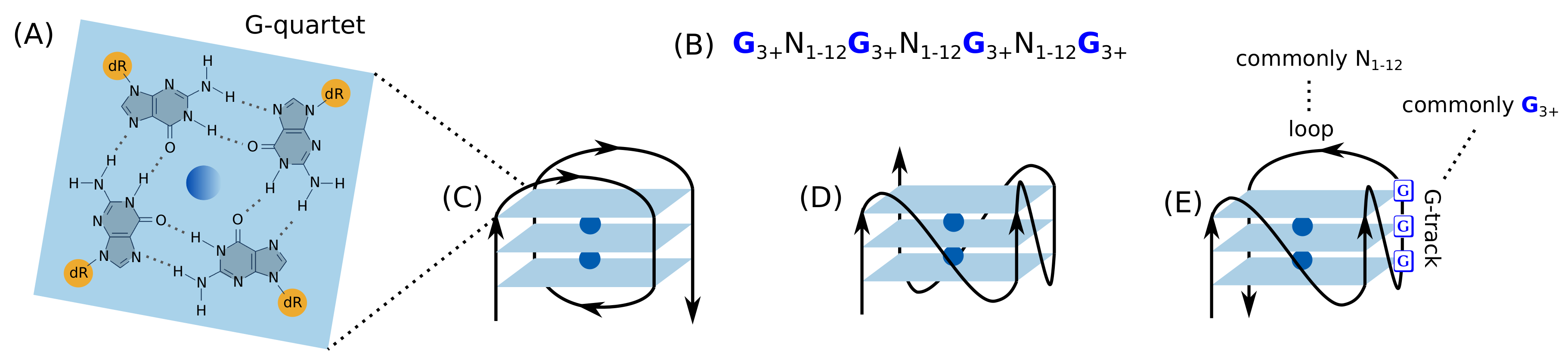 Genes, Free Full-Text