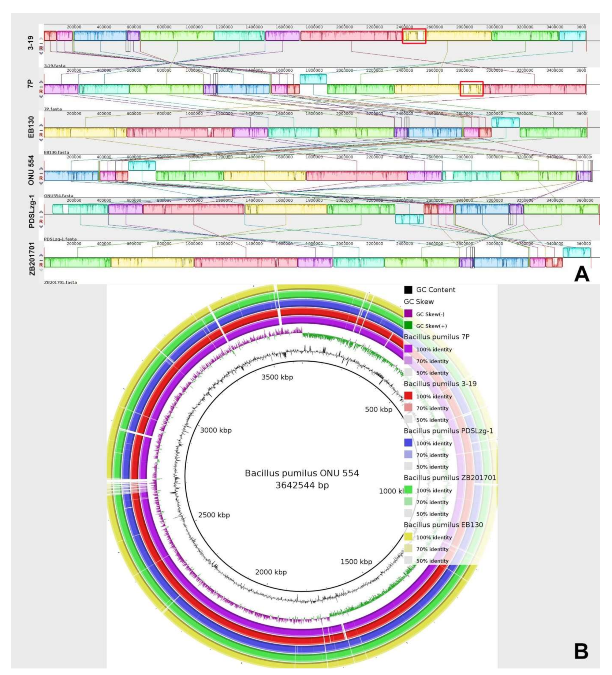Genes 13 00409 g002