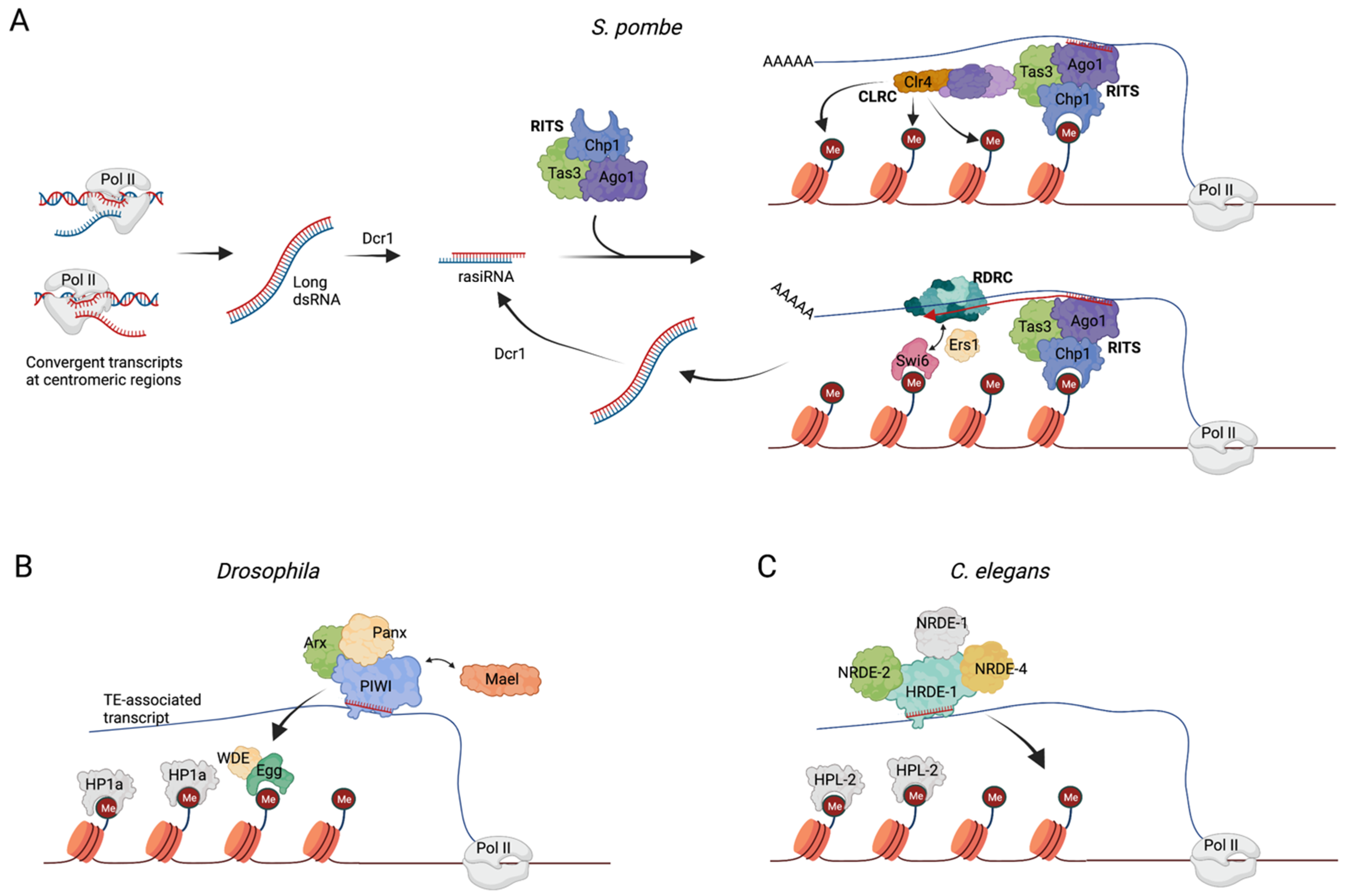 Genes 13 00414 g002 Genes 13 00414 g002