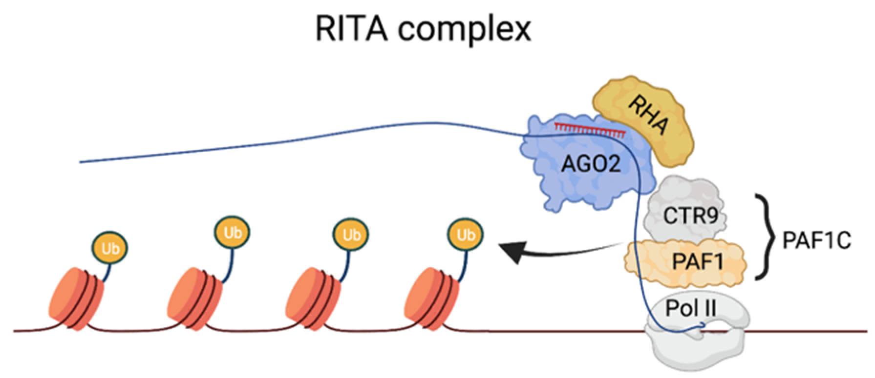Genes 13 00414 g003 Genes 13 00414 g003
