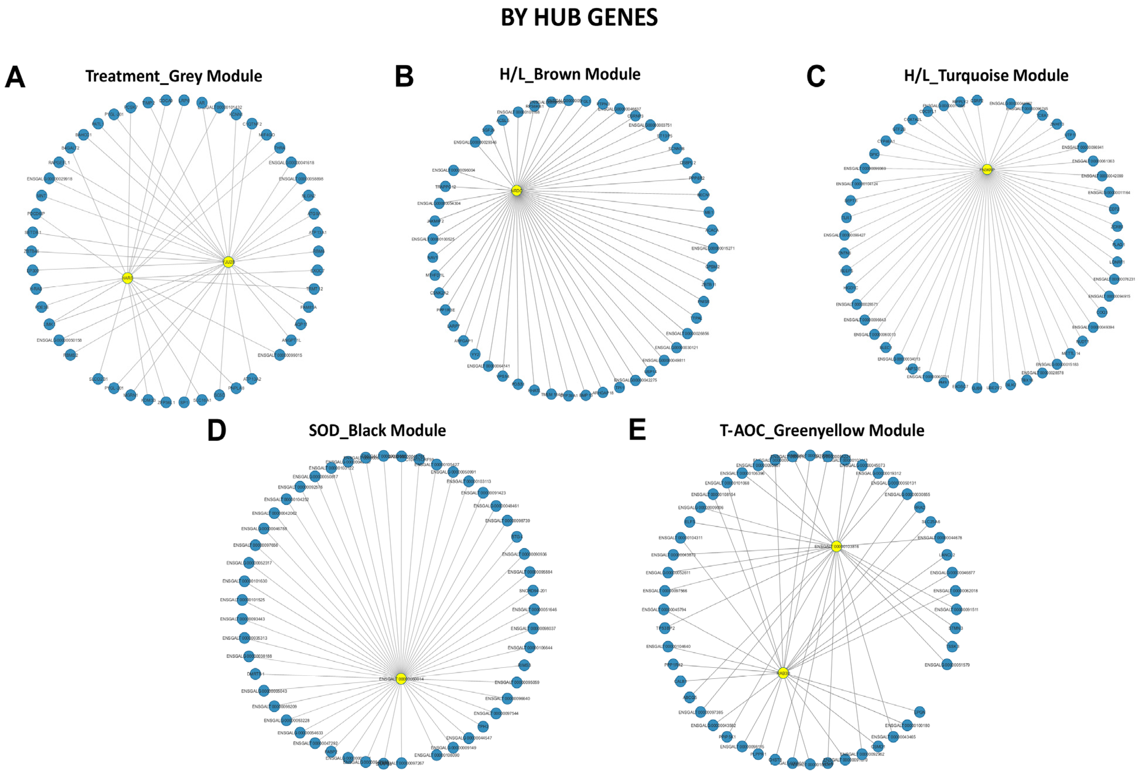 Genes 13 00416 g006 Genes 13 00416 g006