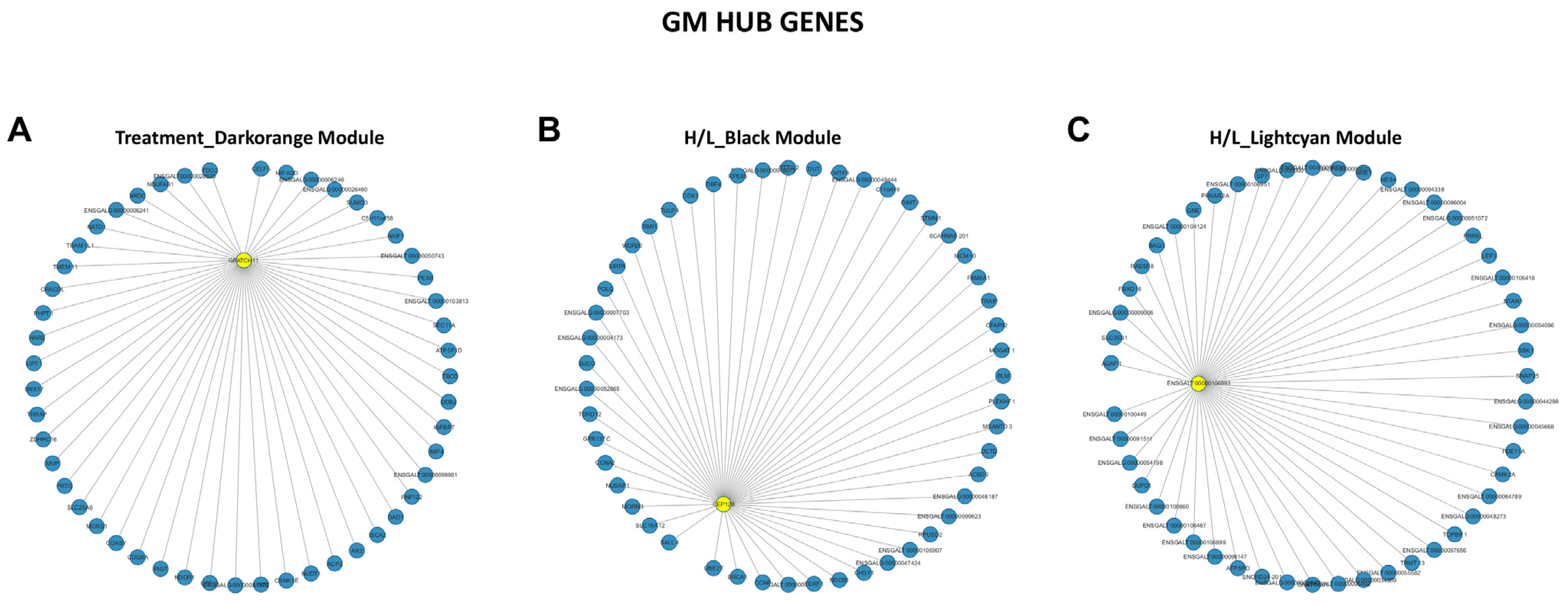 Genes 13 00416 g007 Genes 13 00416 g007