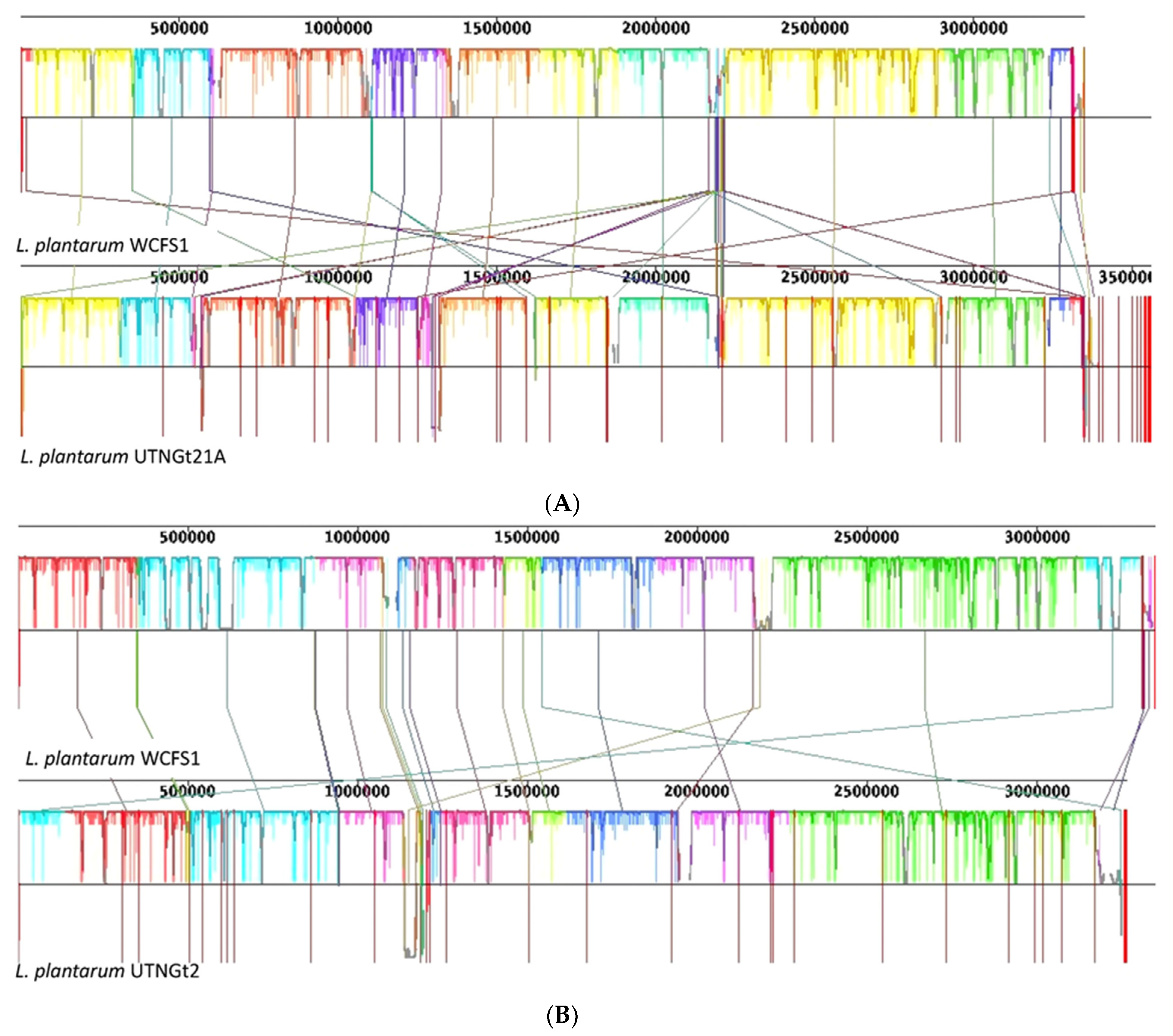 Genes 13 00443 g001 Genes 13 00443 g001