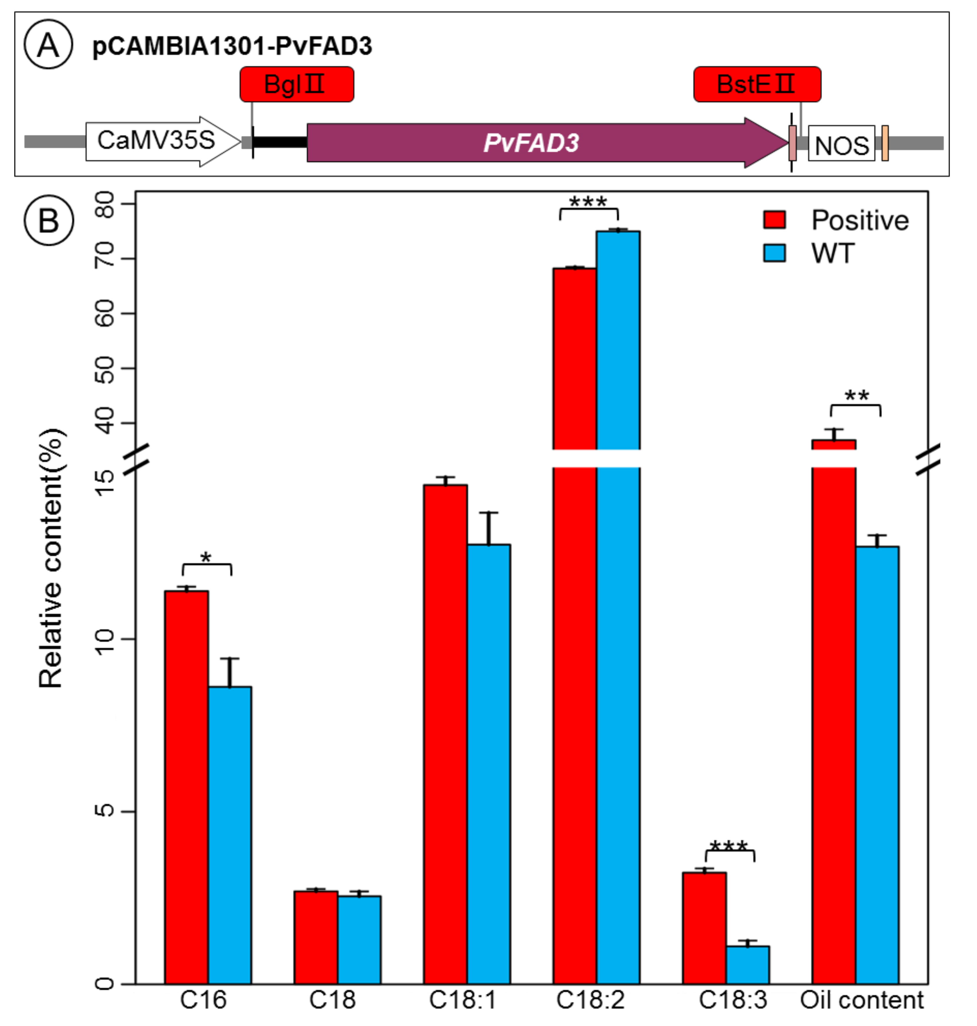 Genes 13 00450 g007