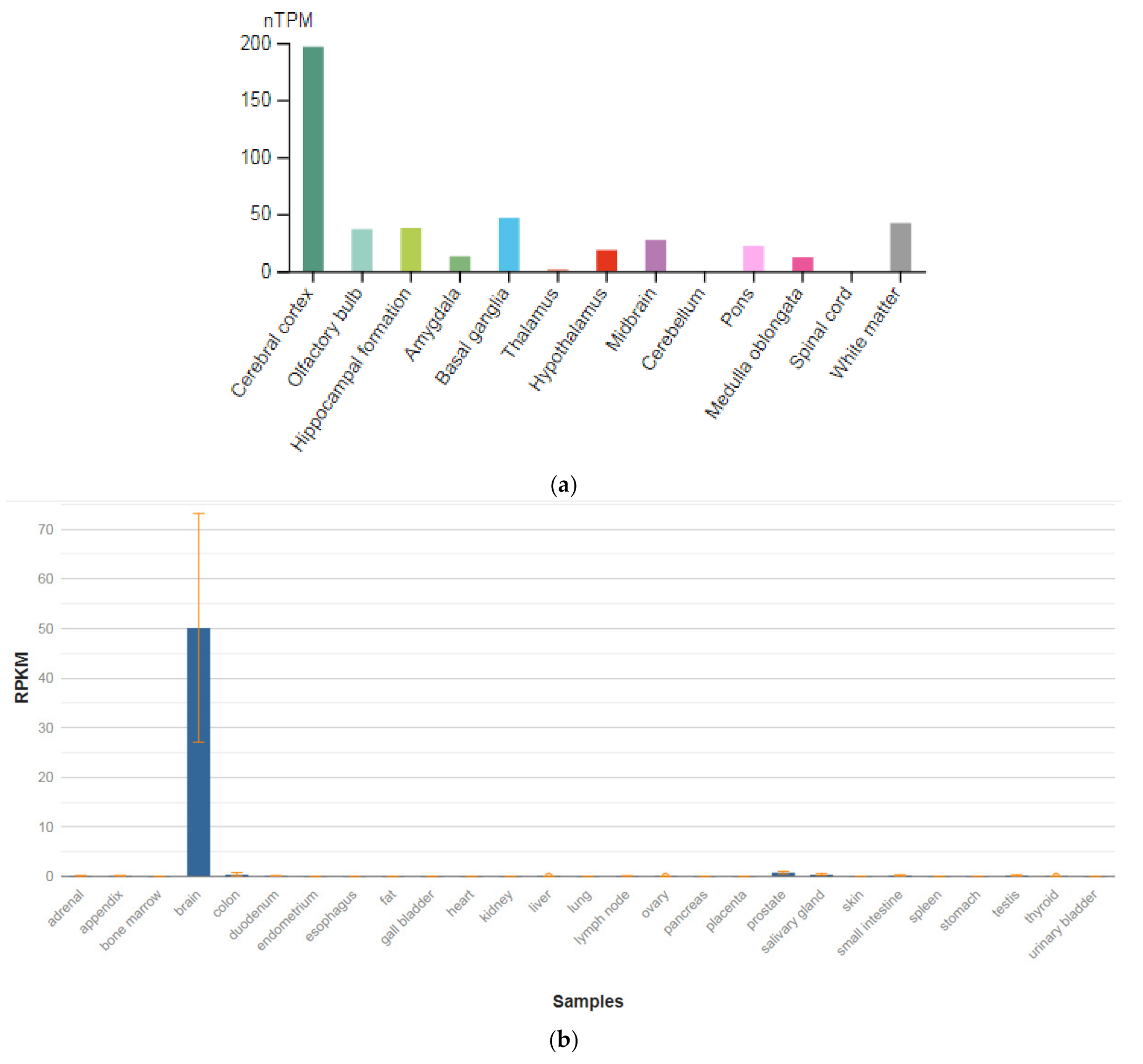 Genes 13 00457 g002 Genes 13 00457 g002