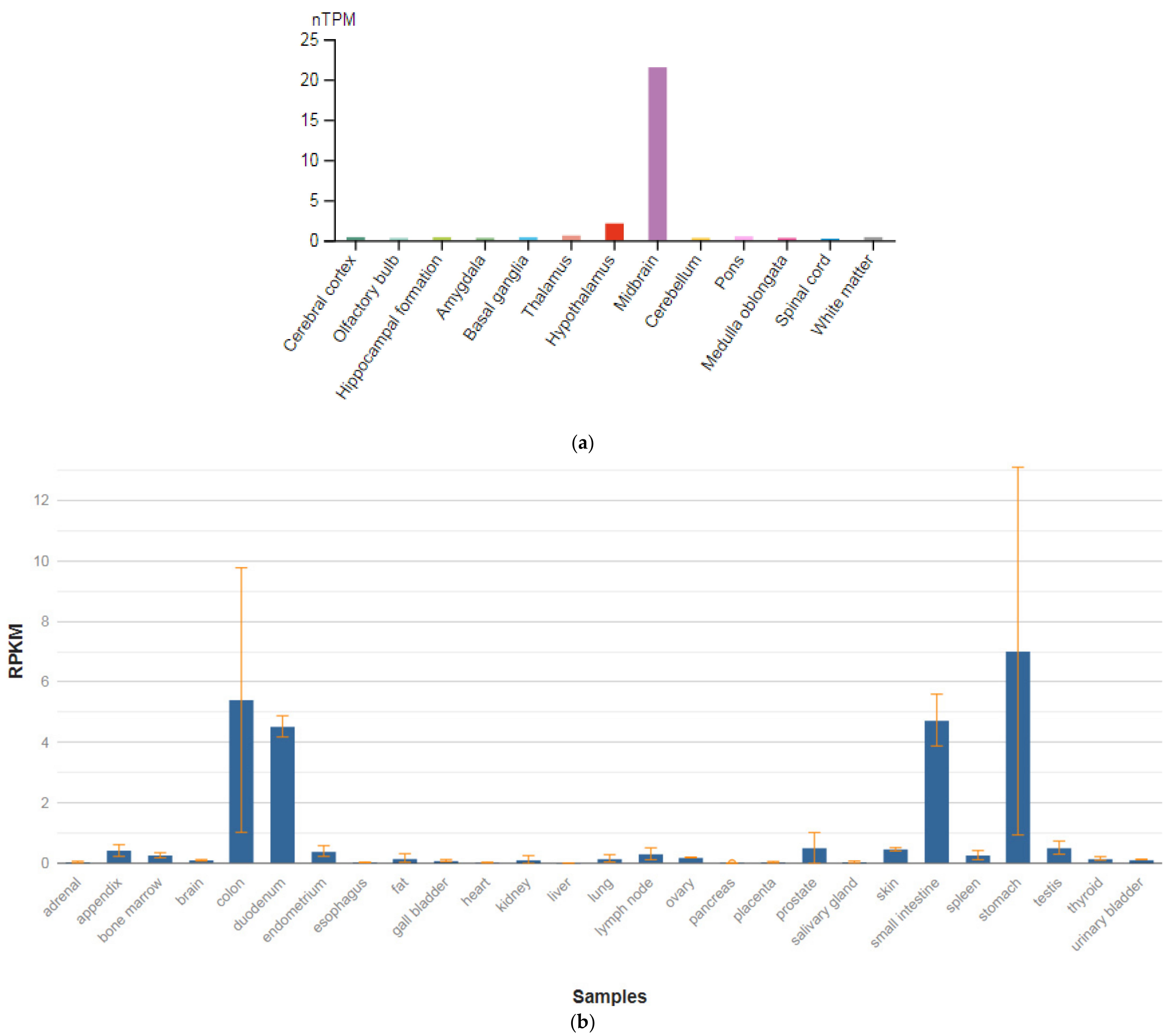 Genes 13 00457 g005 Genes 13 00457 g005