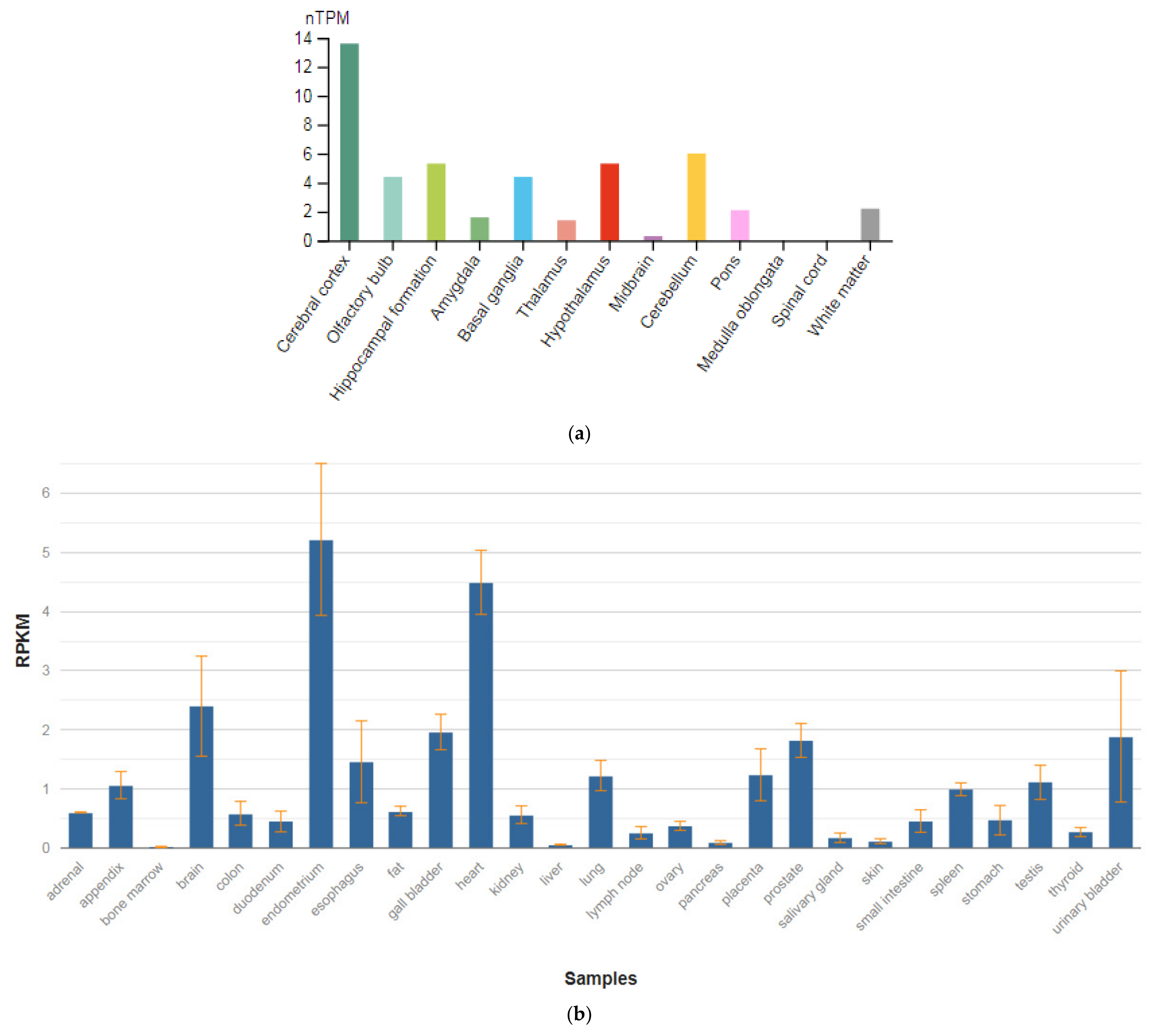 Genes 13 00457 g008 Genes 13 00457 g008