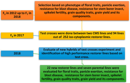 Genes Free Full Text Development of New Restorer Lines