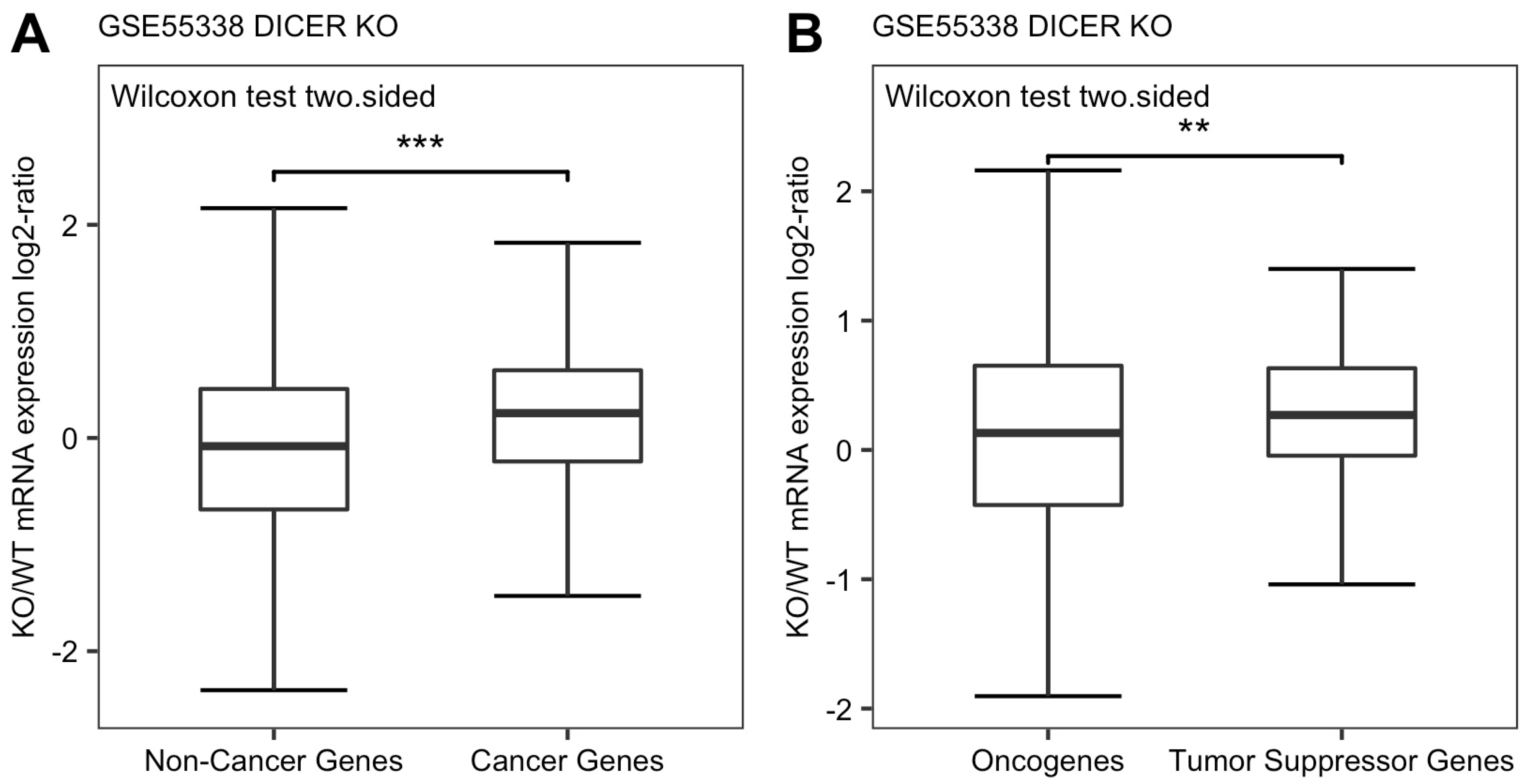 Genes 13 00481 g005 Genes 13 00481 g005