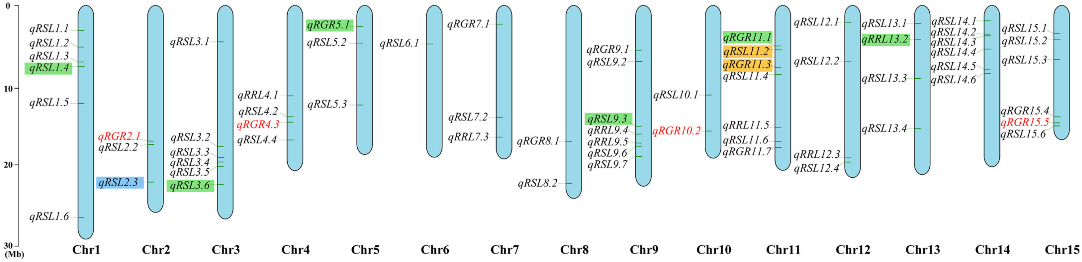 Genes 13 00486 g003