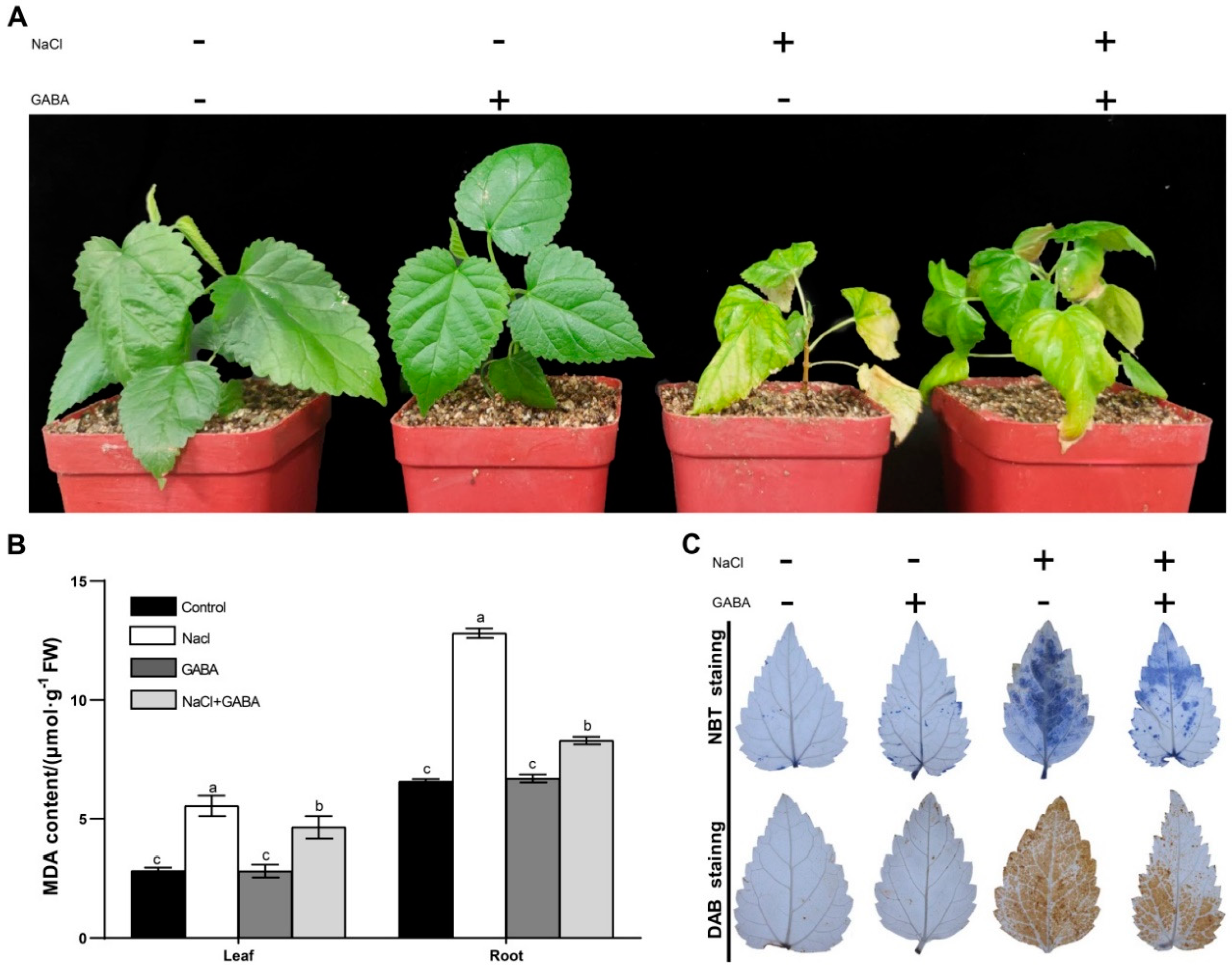 Genes 13 00501 g001
