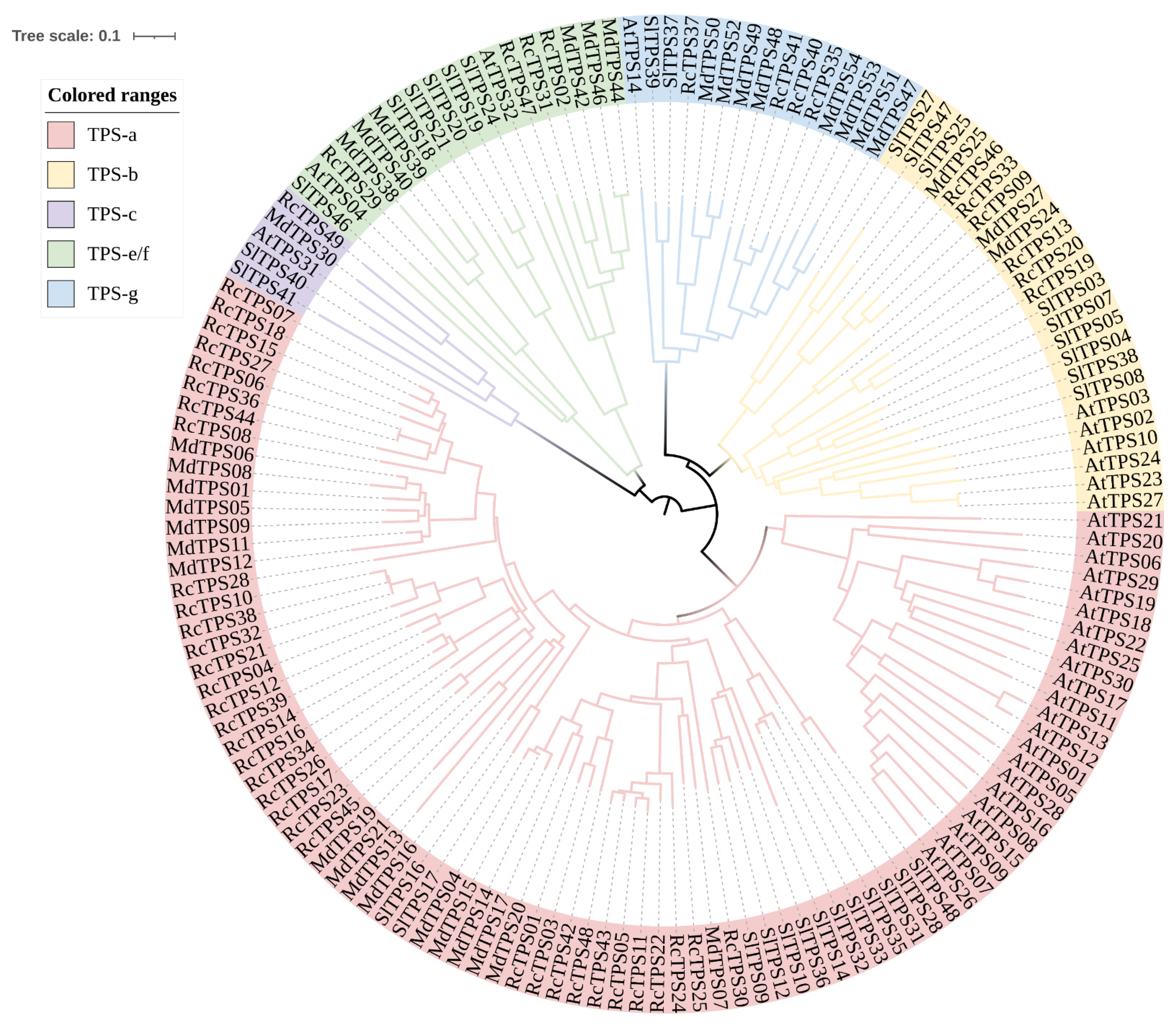 Genes 13 00547 g003