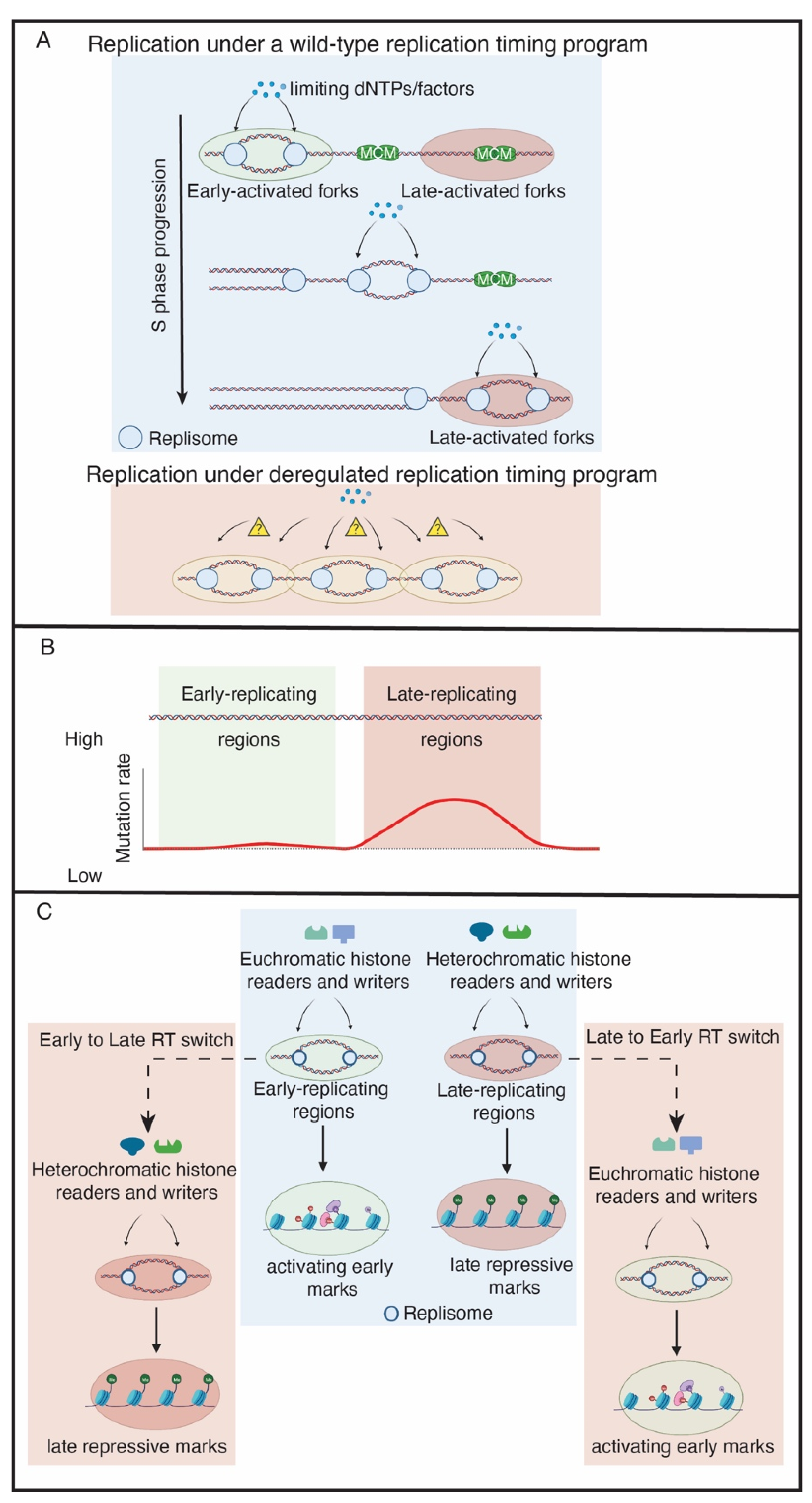 Genes 13 00550 g001 Genes 13 00550 g001