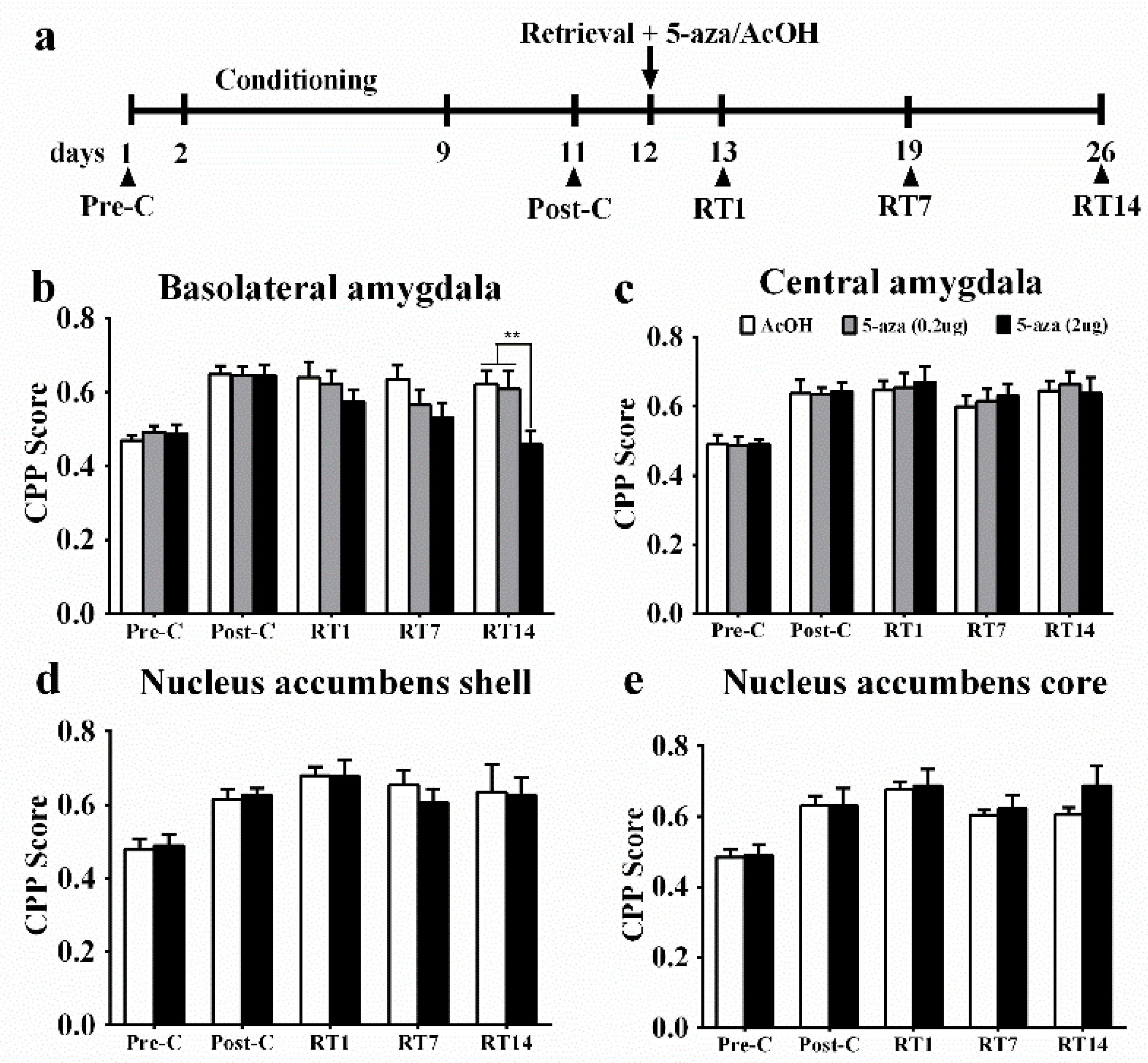 Genes 13 00553 g001 Genes 13 00553 g001