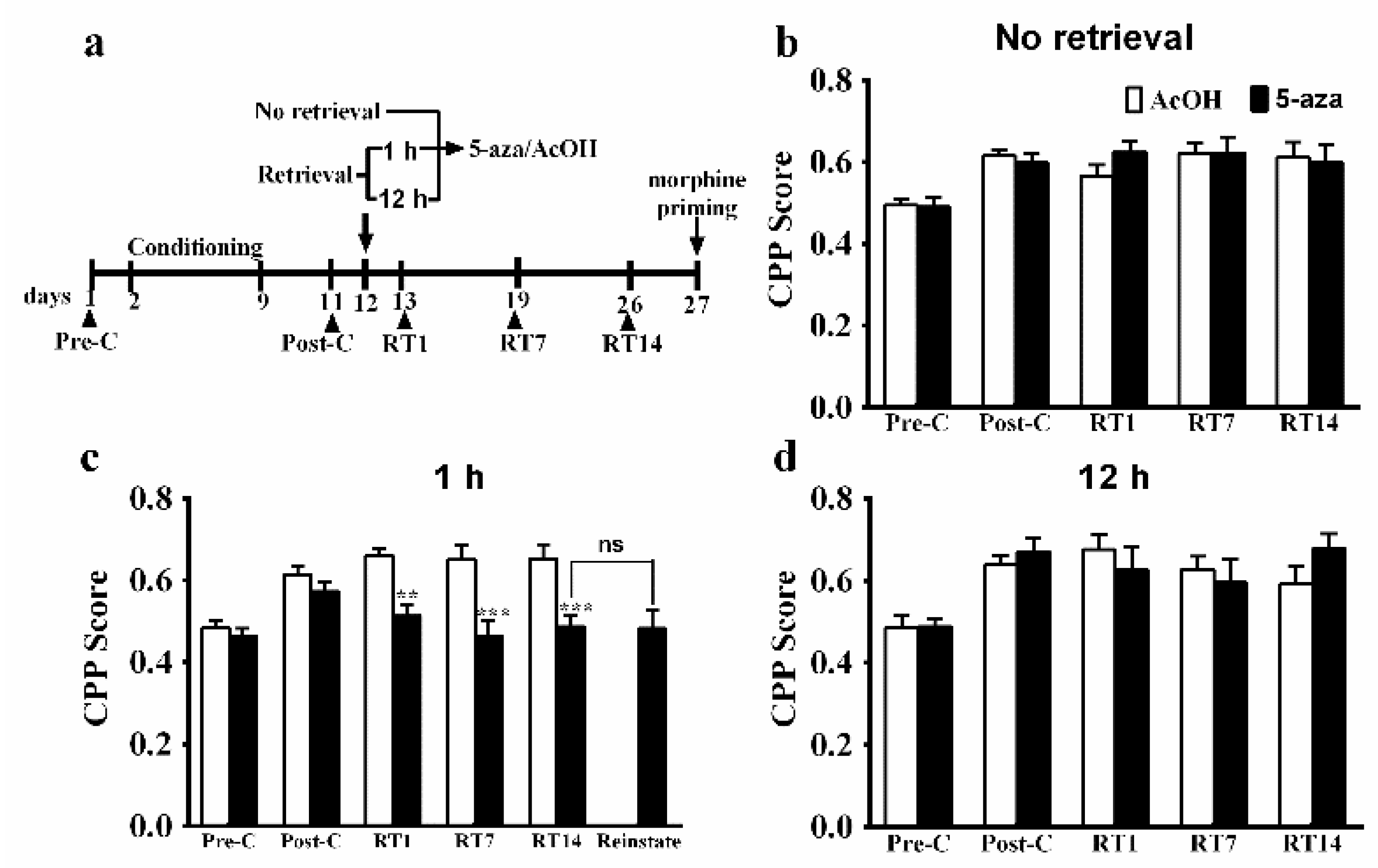 Genes 13 00553 g002 Genes 13 00553 g002