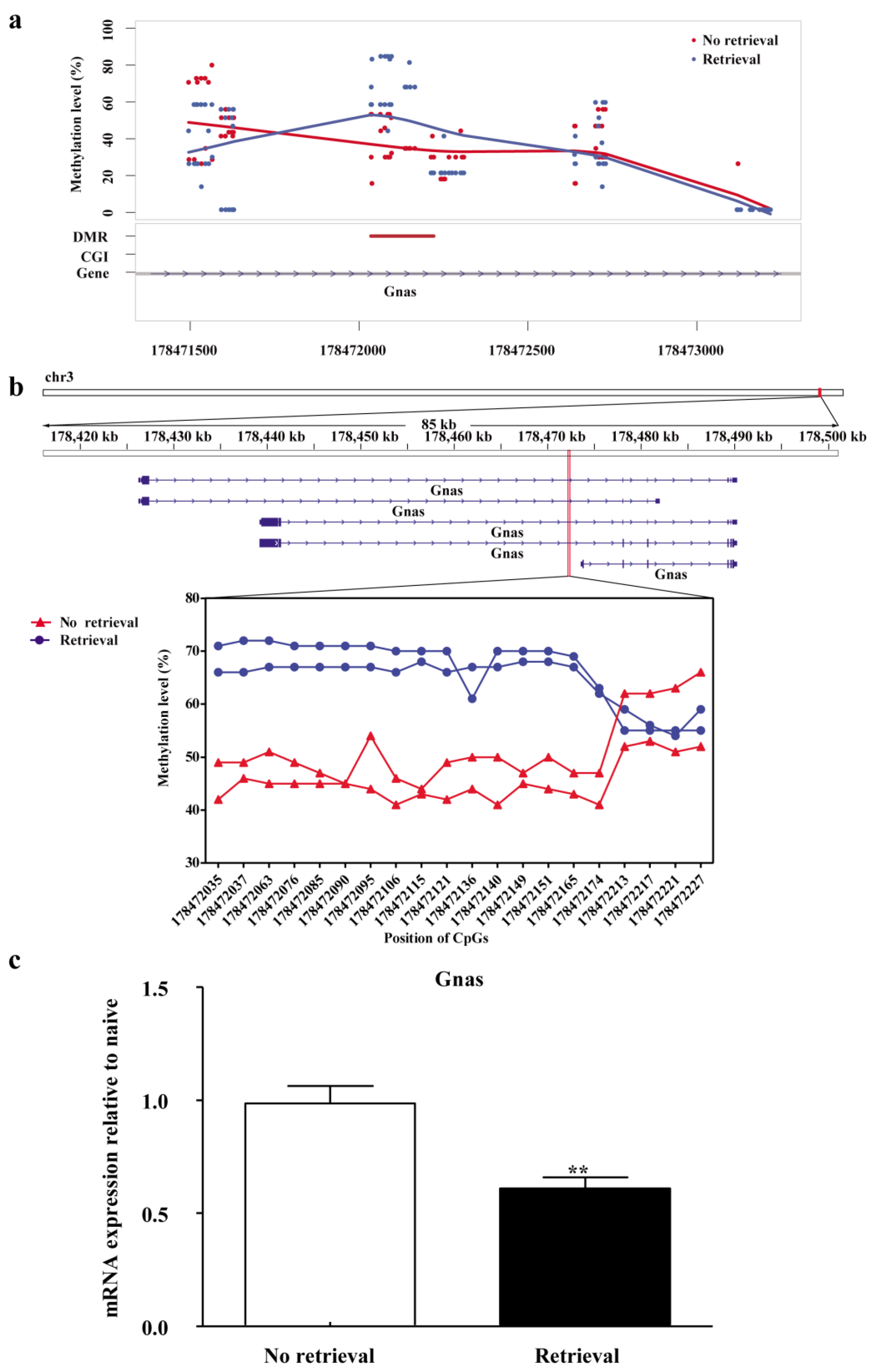 Genes 13 00553 g004 Genes 13 00553 g004