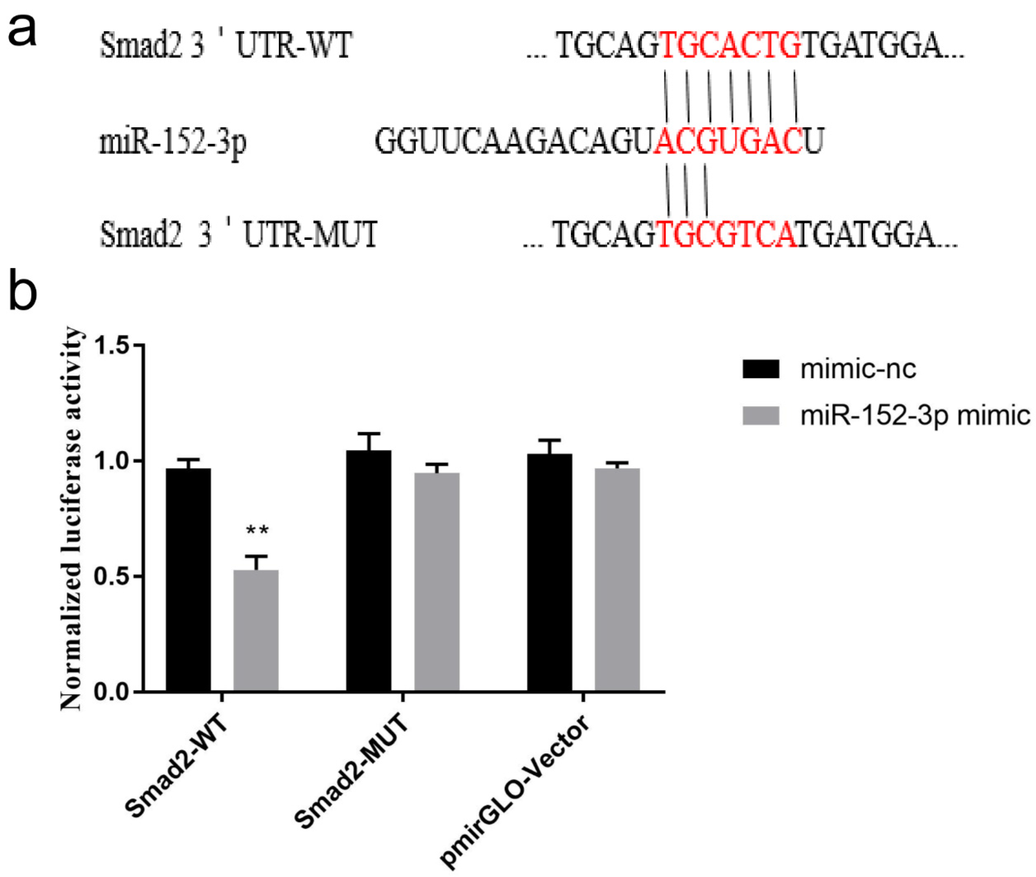 Genes 13 00576 g005 Genes 13 00576 g005