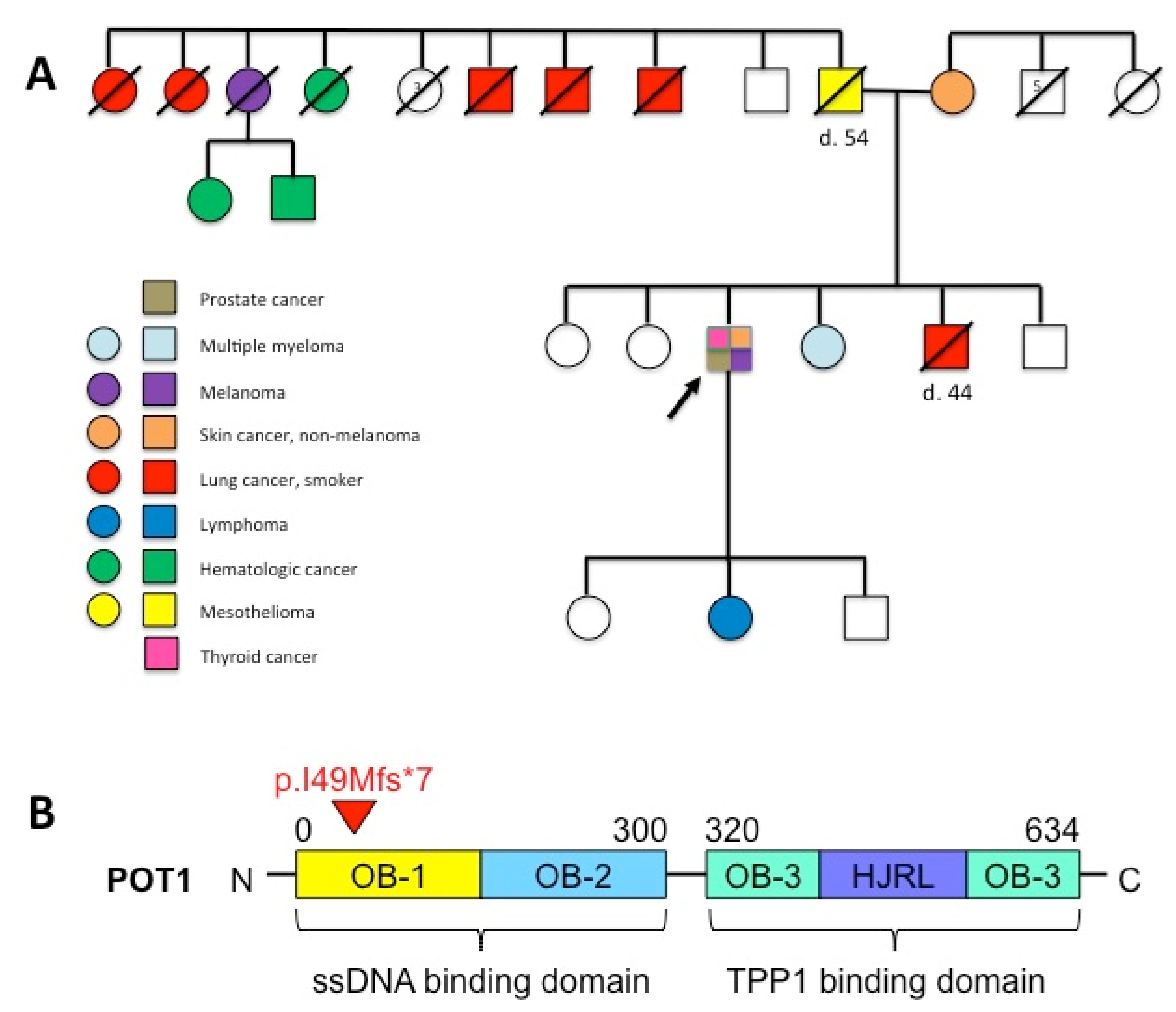 Genes 13 00591 g002 Genes 13 00591 g002