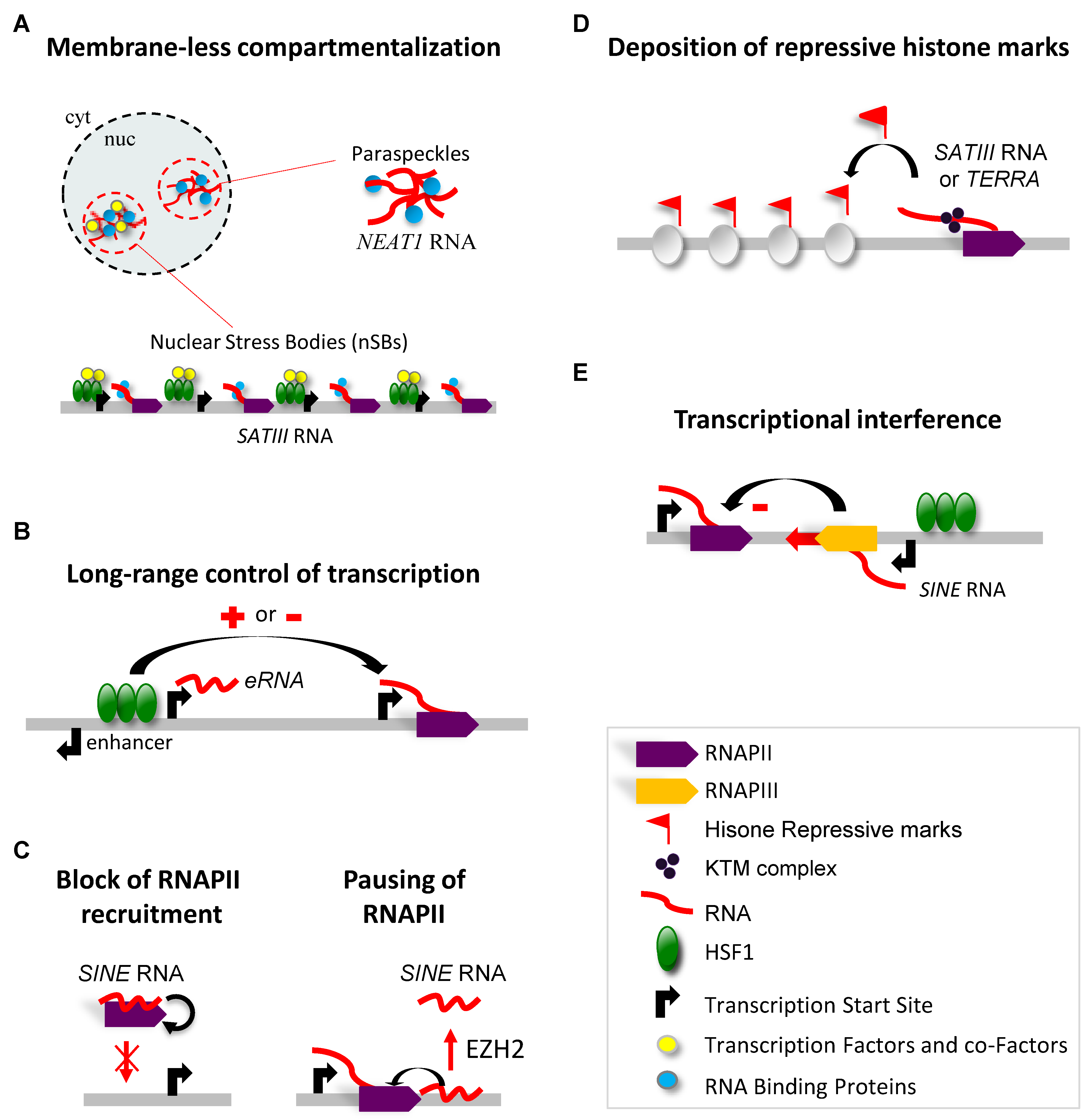 Genes 13 00597 g002 Genes 13 00597 g002