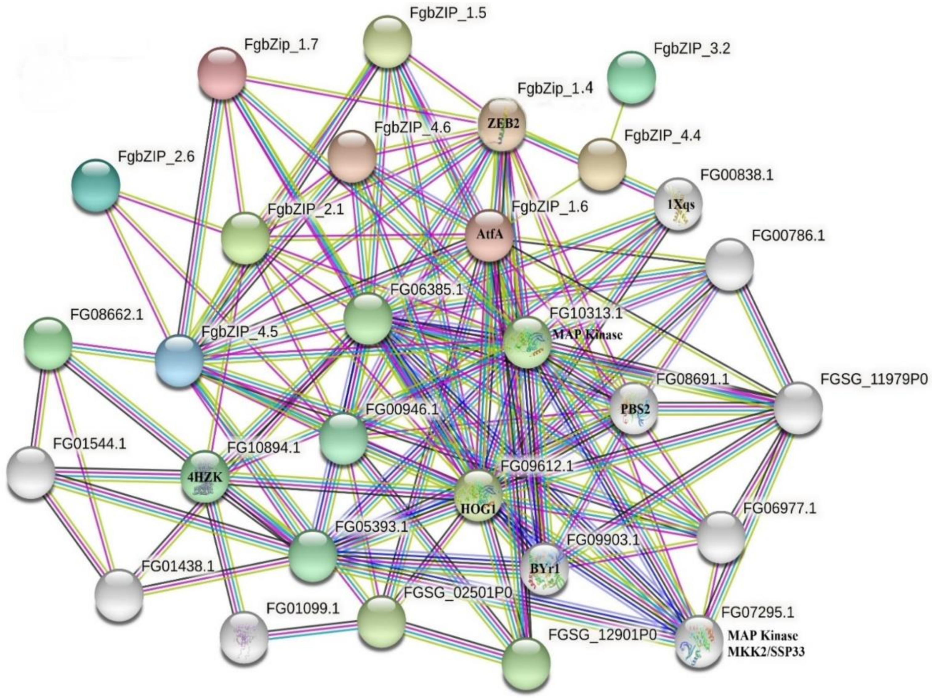 Genes 13 00607 g006