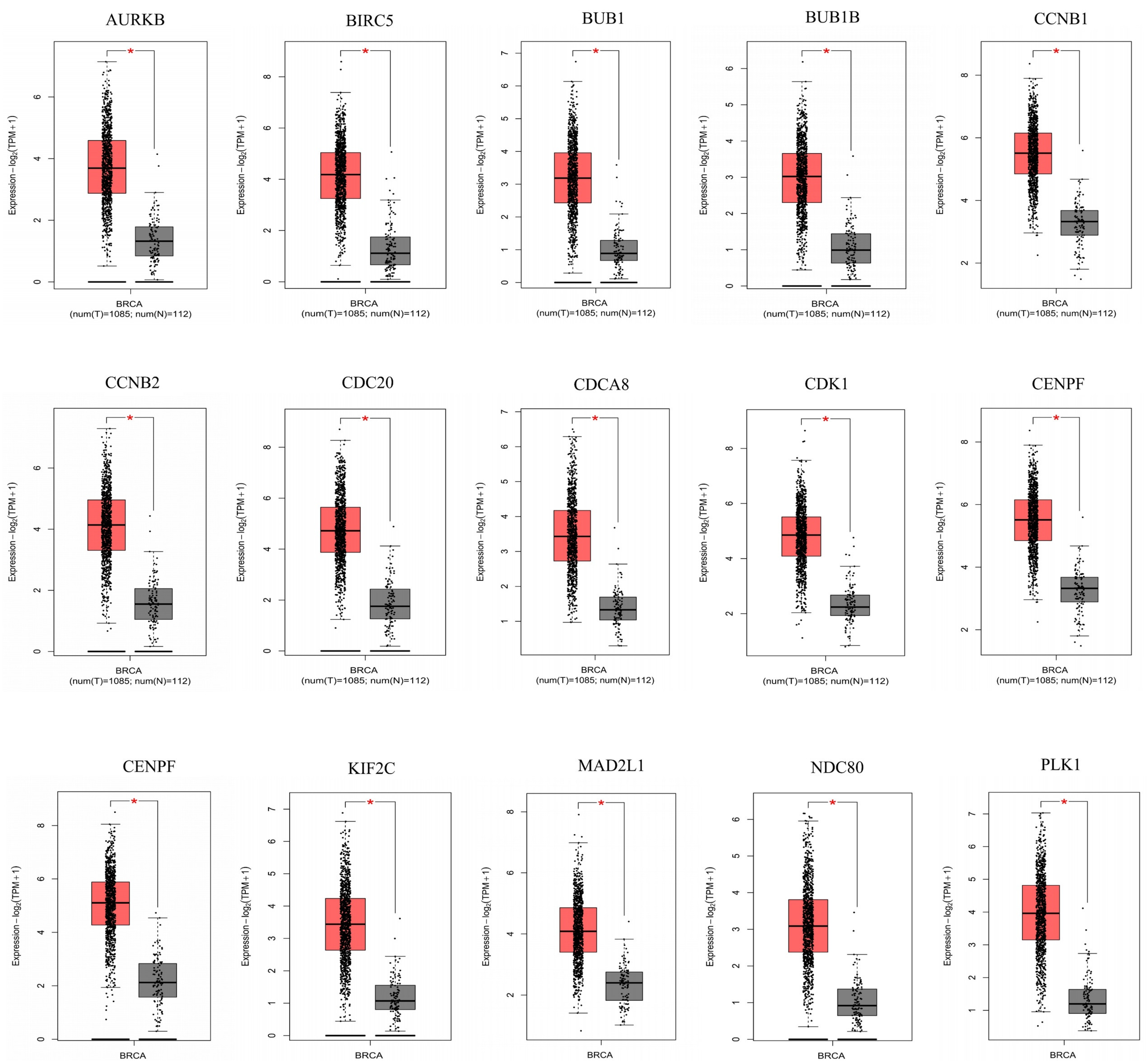 Genes 13 00654 g004
