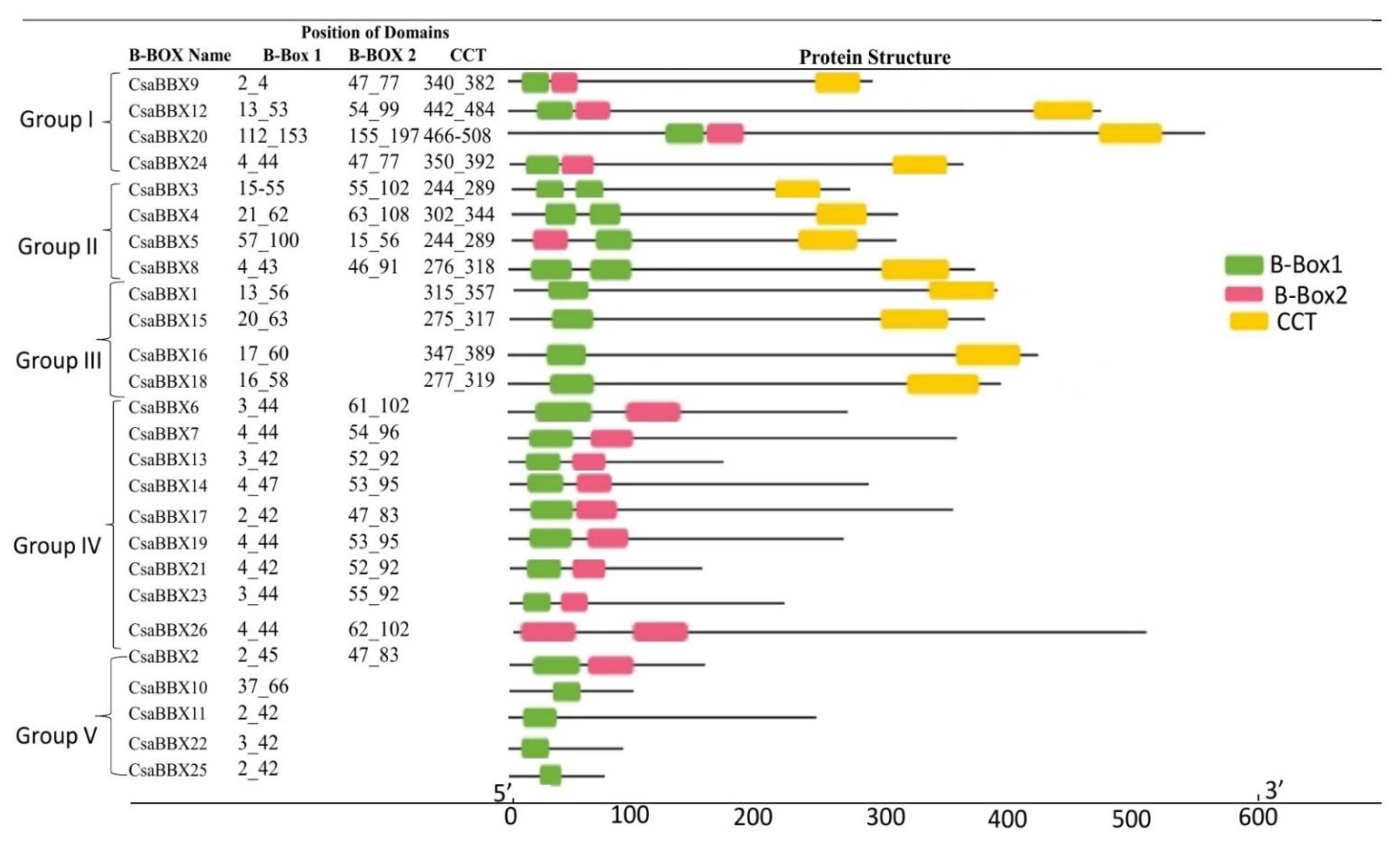 Genes | Free Full-Text | Genome-Wide Identification of the B-Box Gene ...